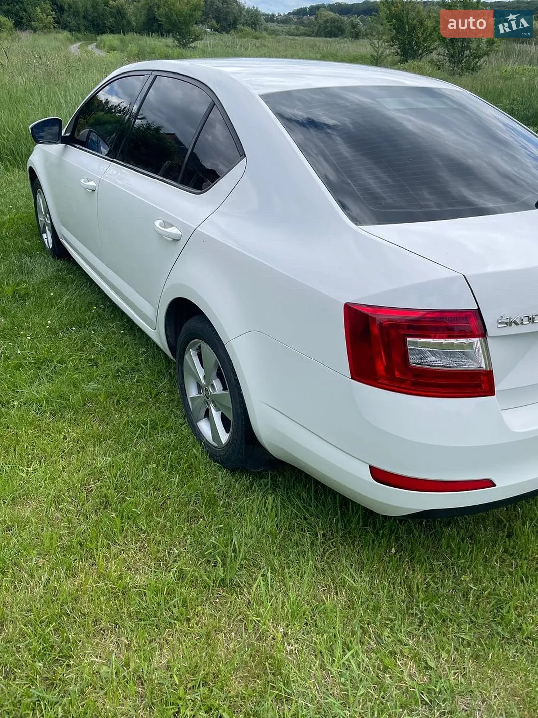 2013 Skoda Octavia - мініатюра 8