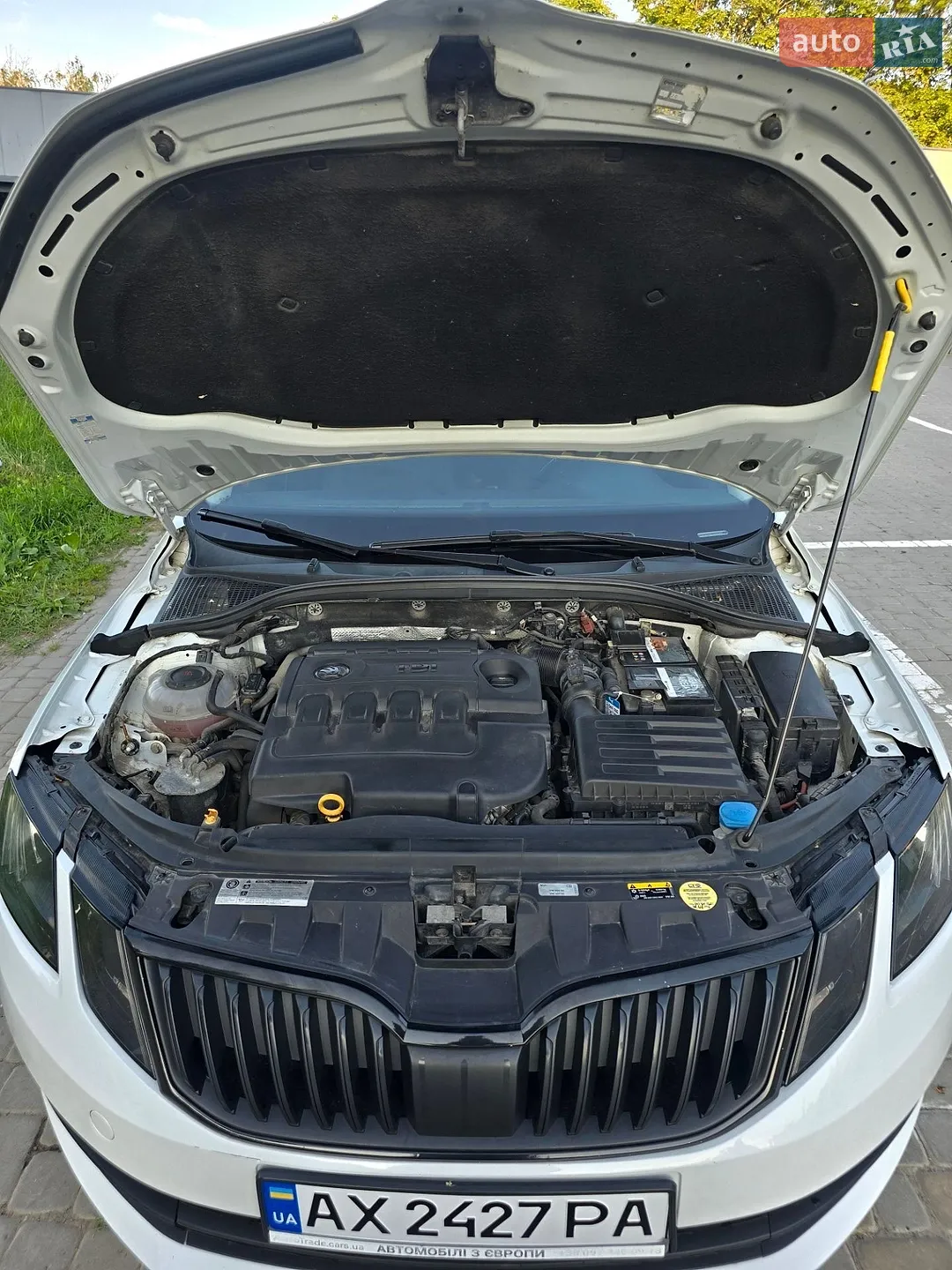 2018 Skoda Octavia - мініатюра 32