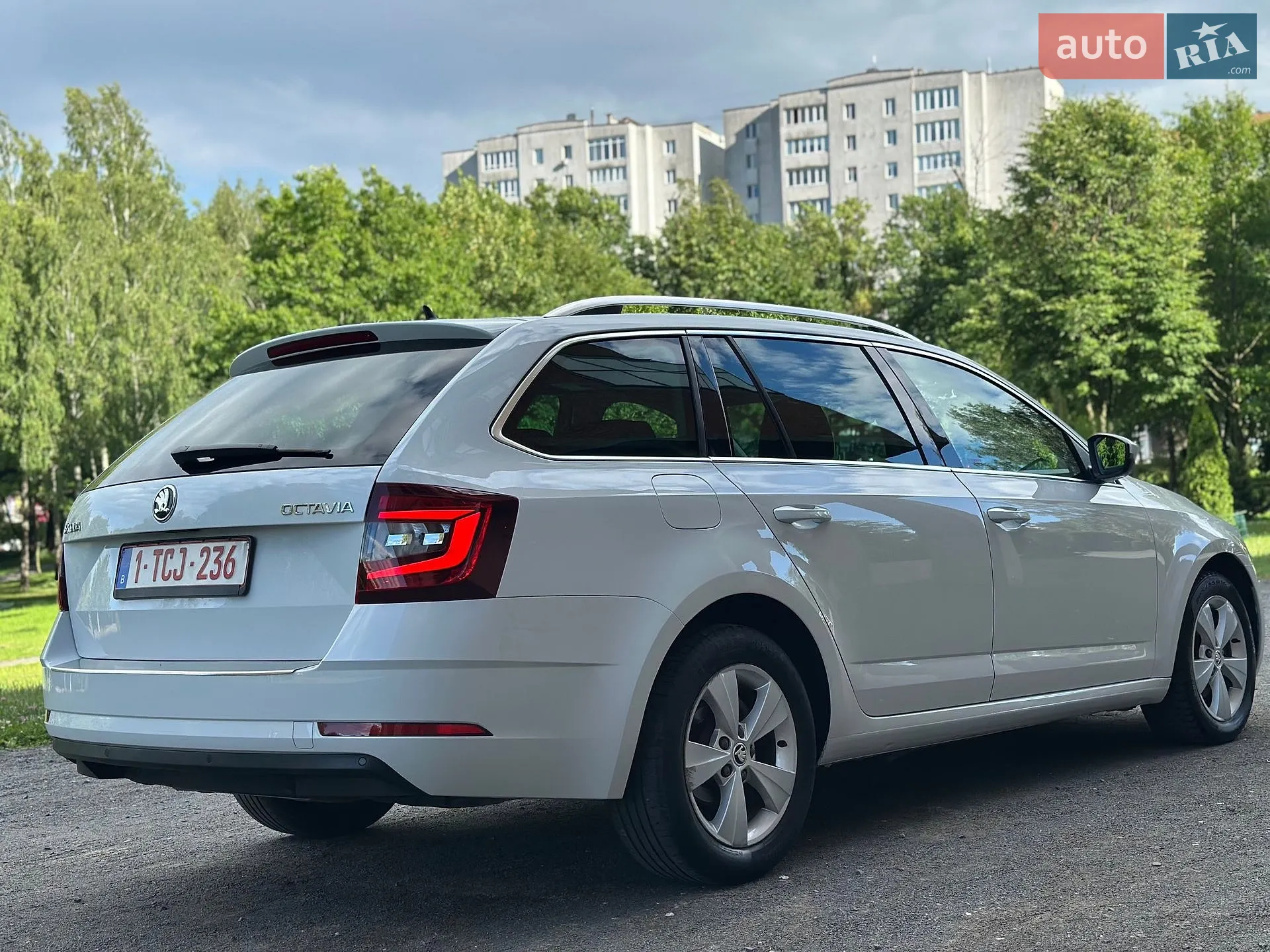 2019 Skoda Octavia - мініатюра 15