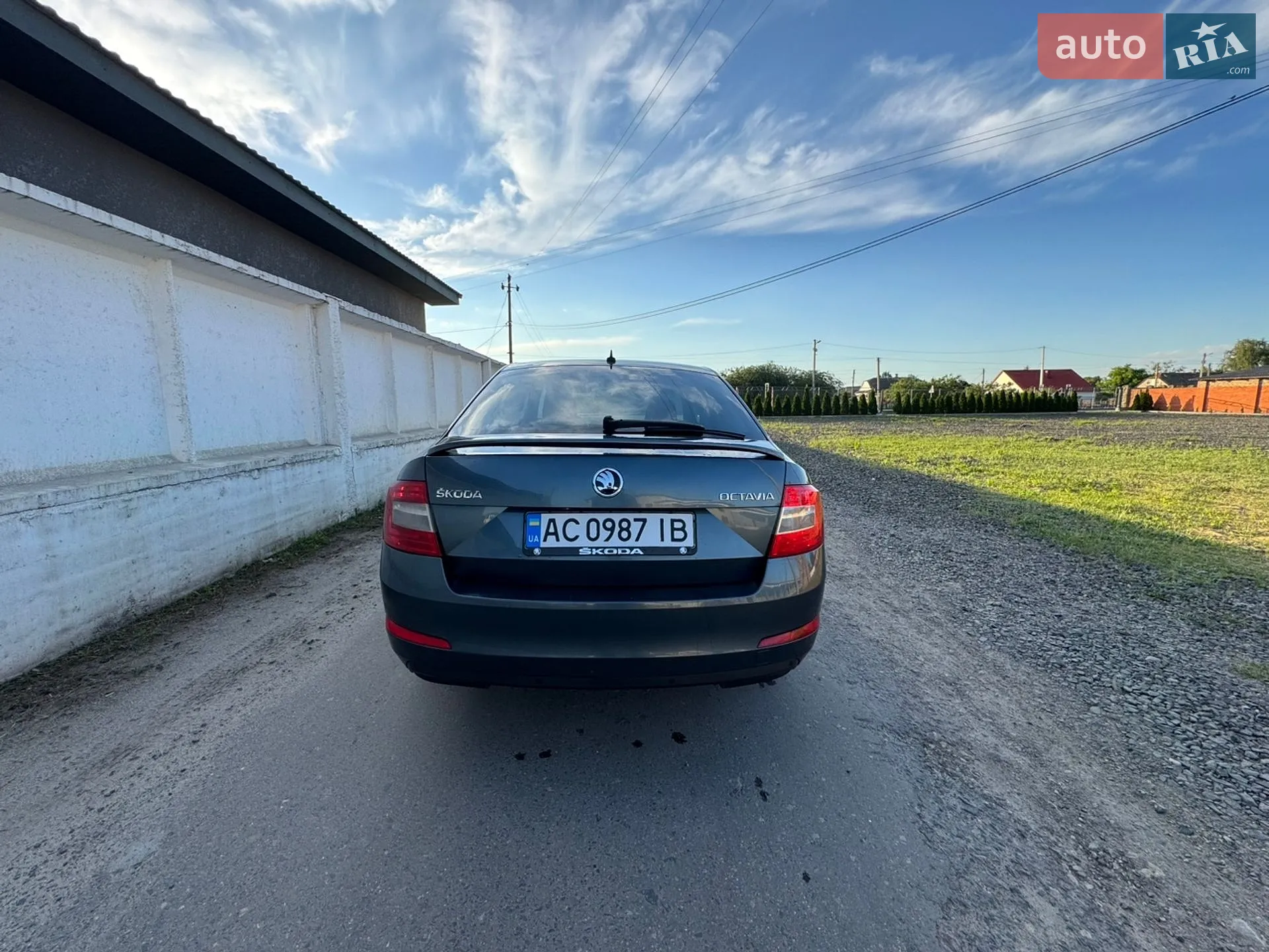 2016 Skoda Octavia - мініатюра 3