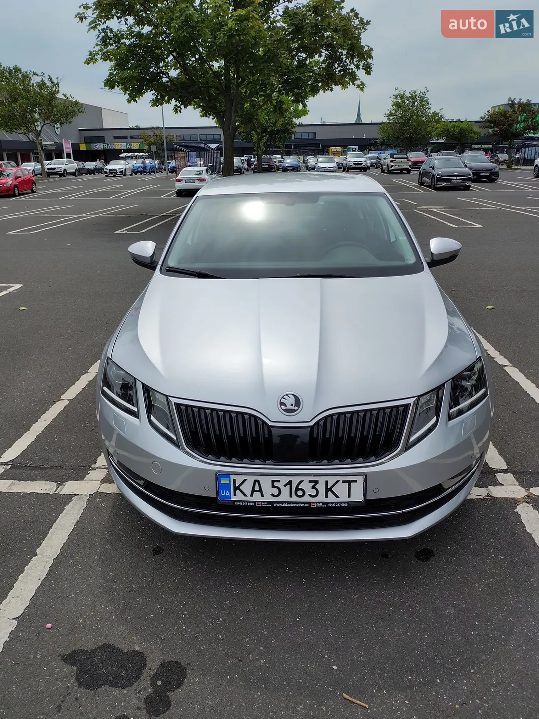 2019 Skoda Octavia - мініатюра 6