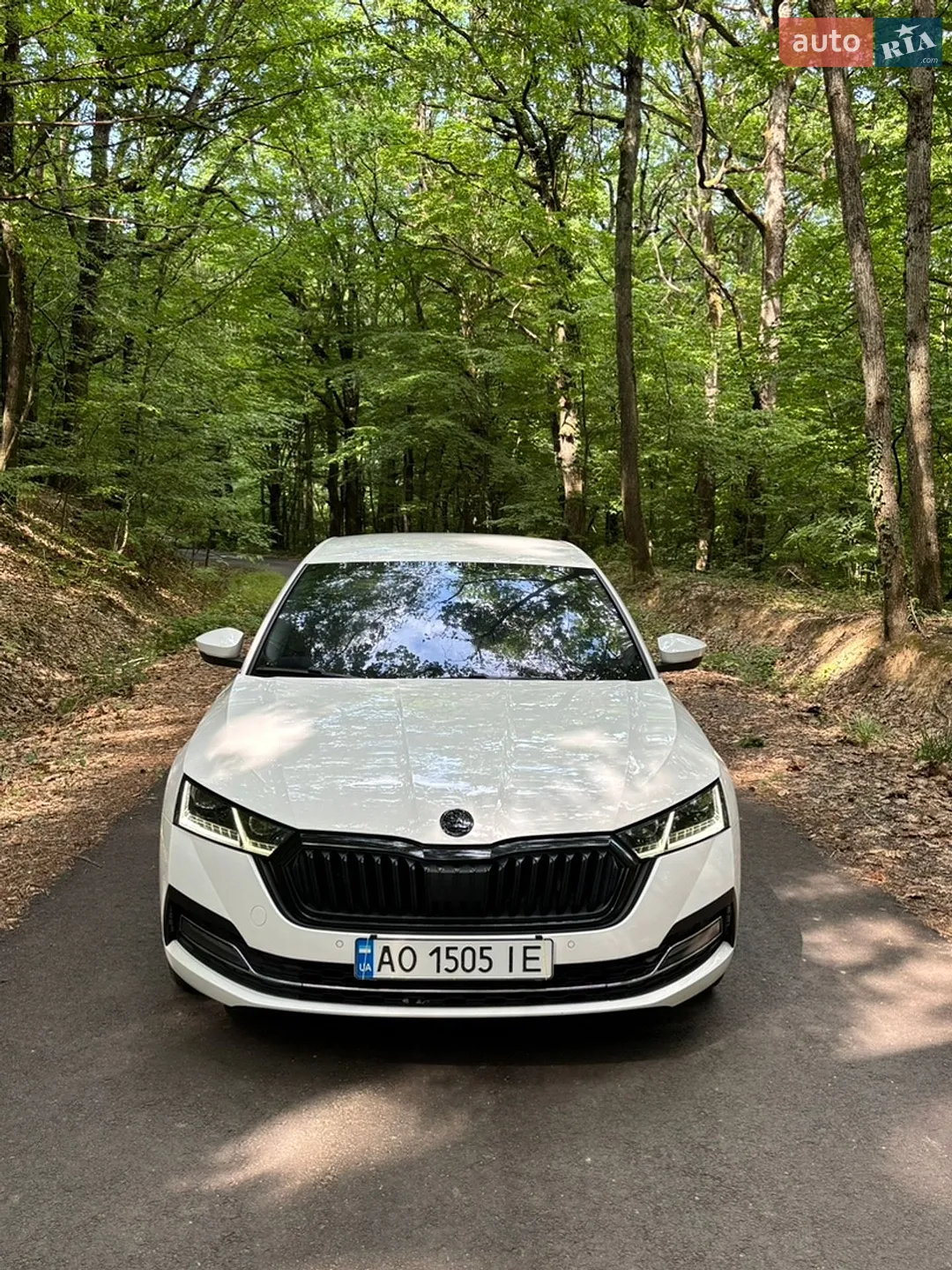 2020 Skoda Octavia - мініатюра 2