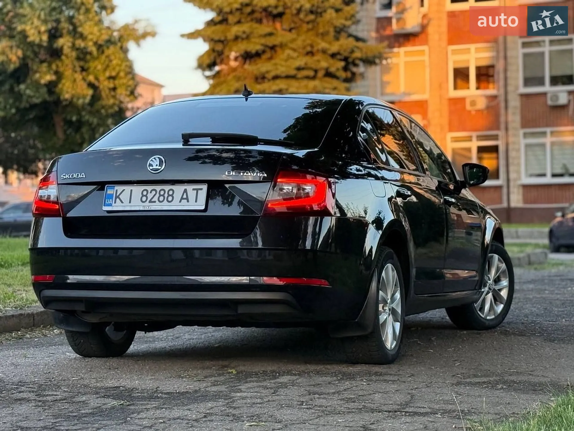 2019 Skoda Octavia - мініатюра 13