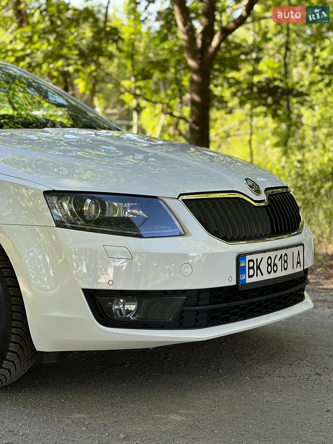 2013 Skoda Octavia - мініатюра 2