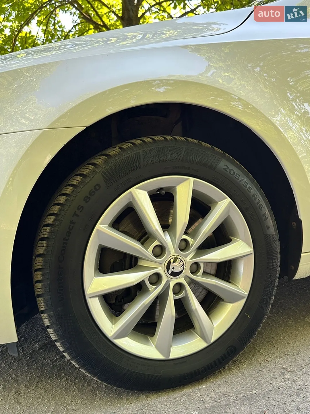 2013 Skoda Octavia - мініатюра 19