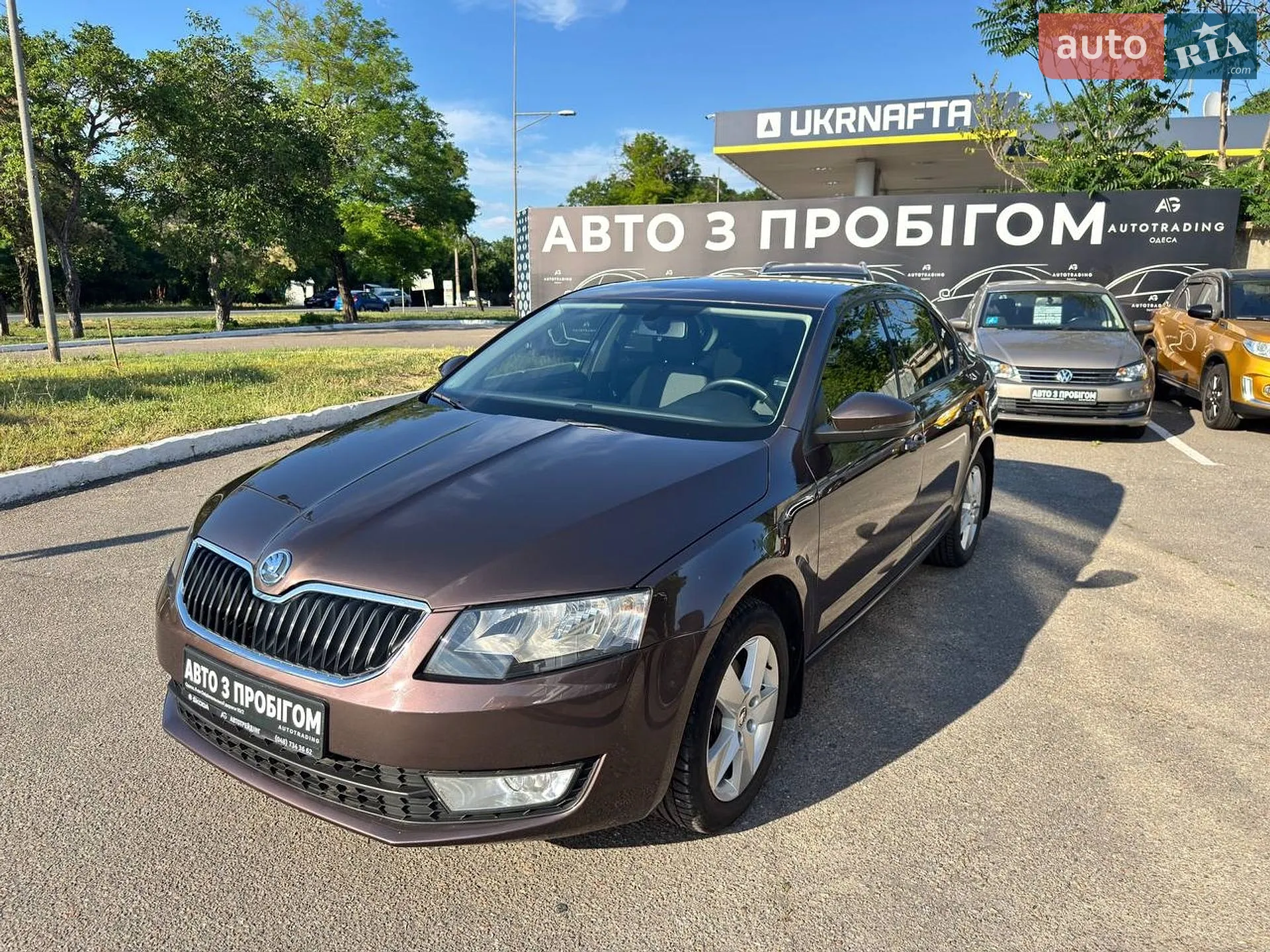 2014 Skoda Octavia - мініатюра 2