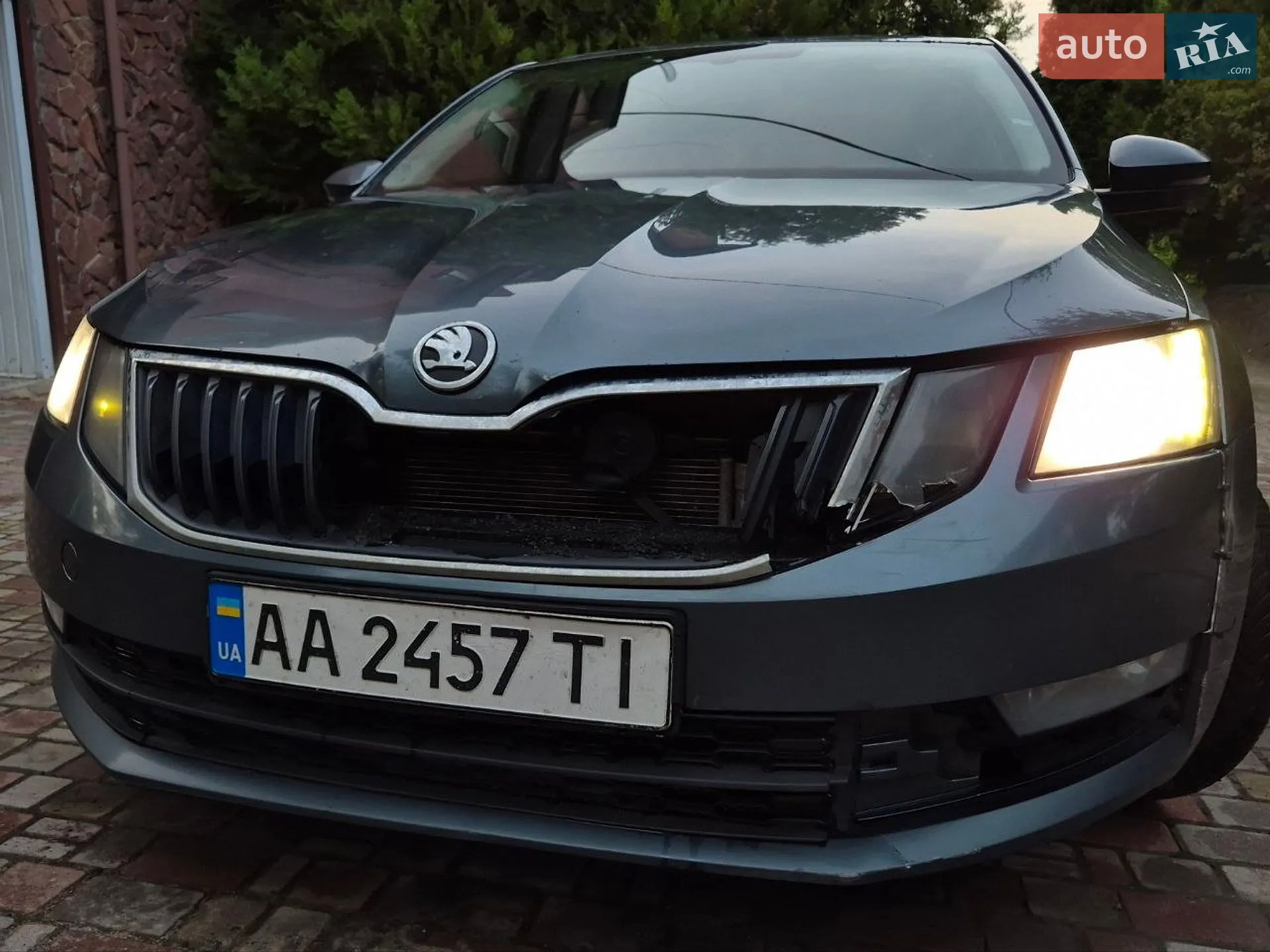 2018 Skoda Octavia - мініатюра 14