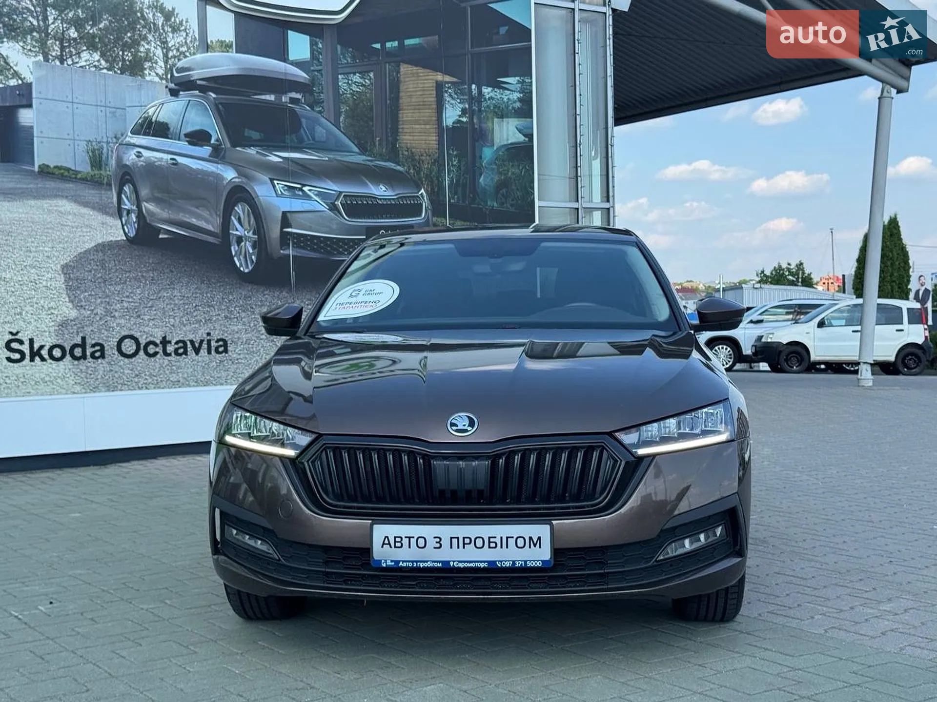 2020 Skoda Octavia - мініатюра 4