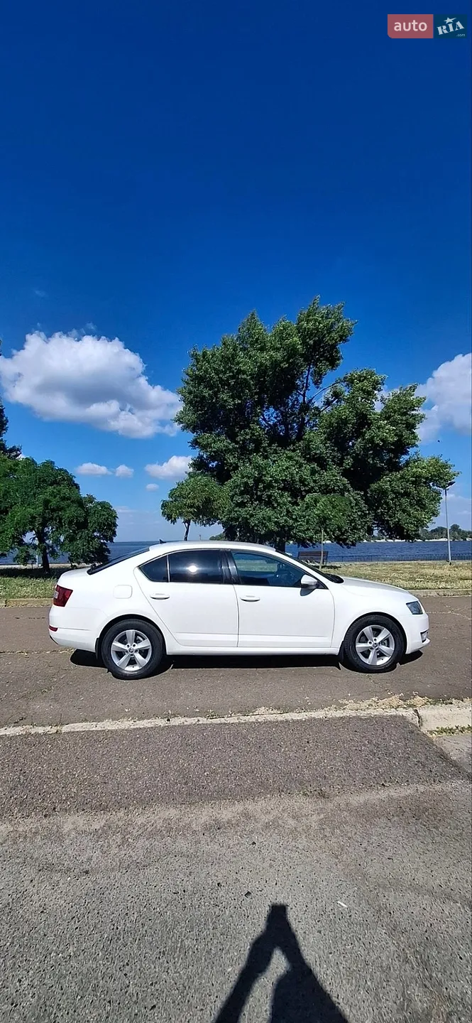 2016 Skoda Octavia - мініатюра 6