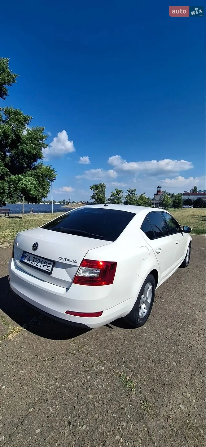 2016 Skoda Octavia - мініатюра 9