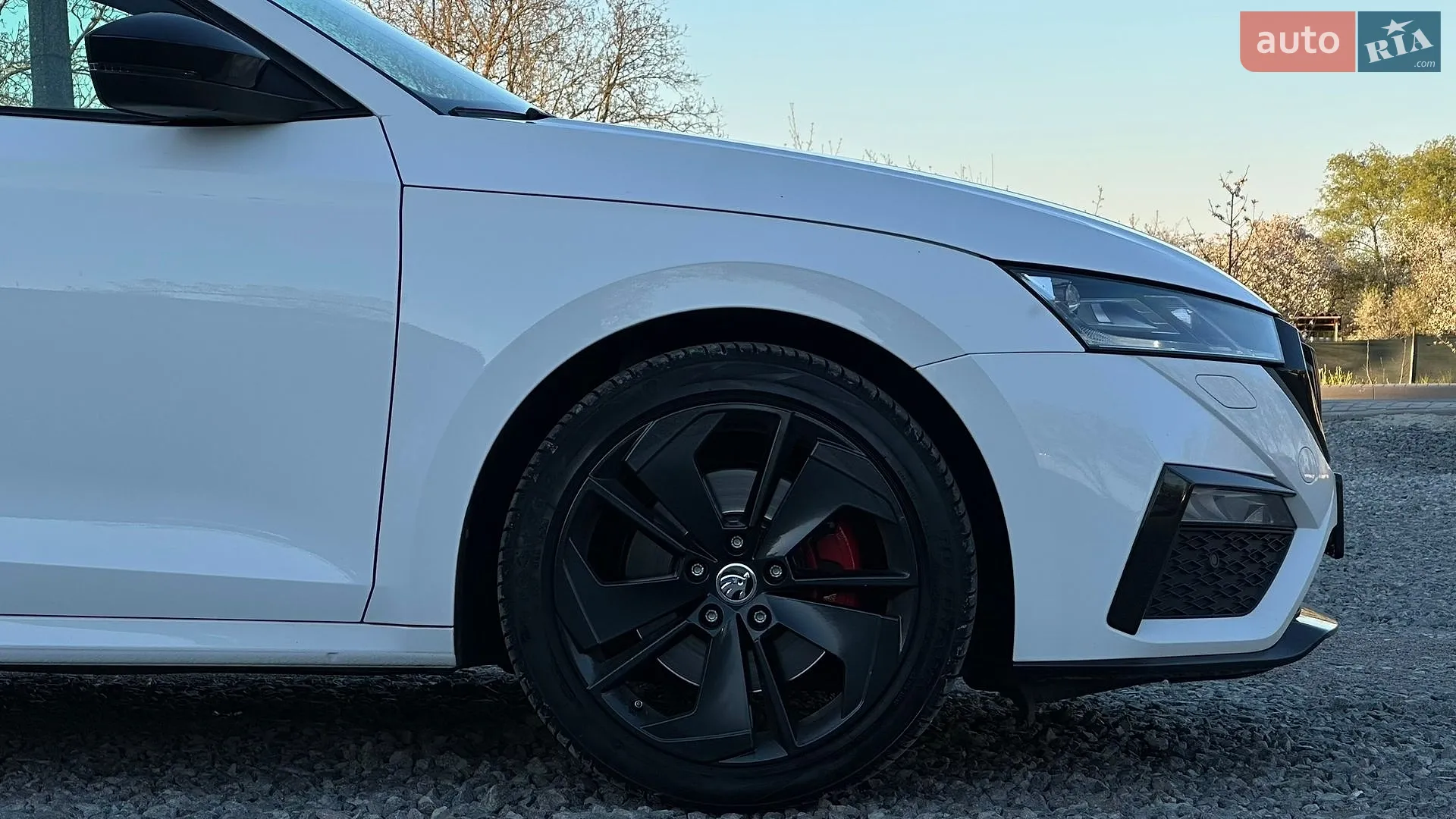 2021 Skoda Octavia - мініатюра 24