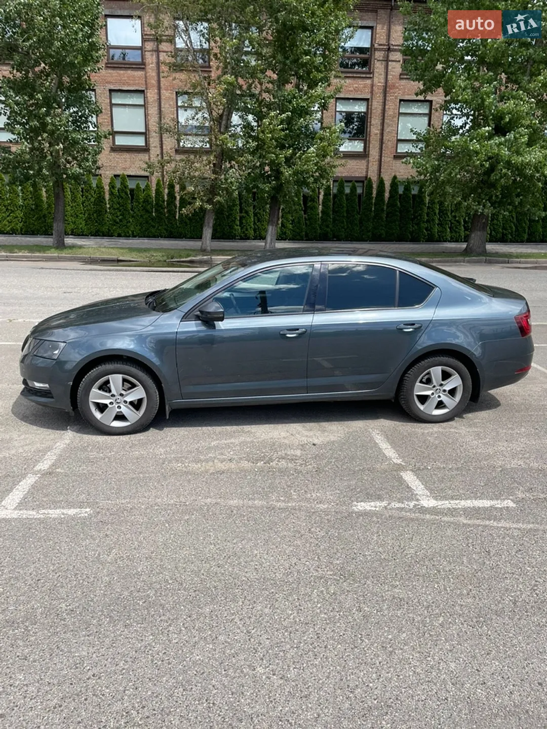 2017 Skoda Octavia - мініатюра 10