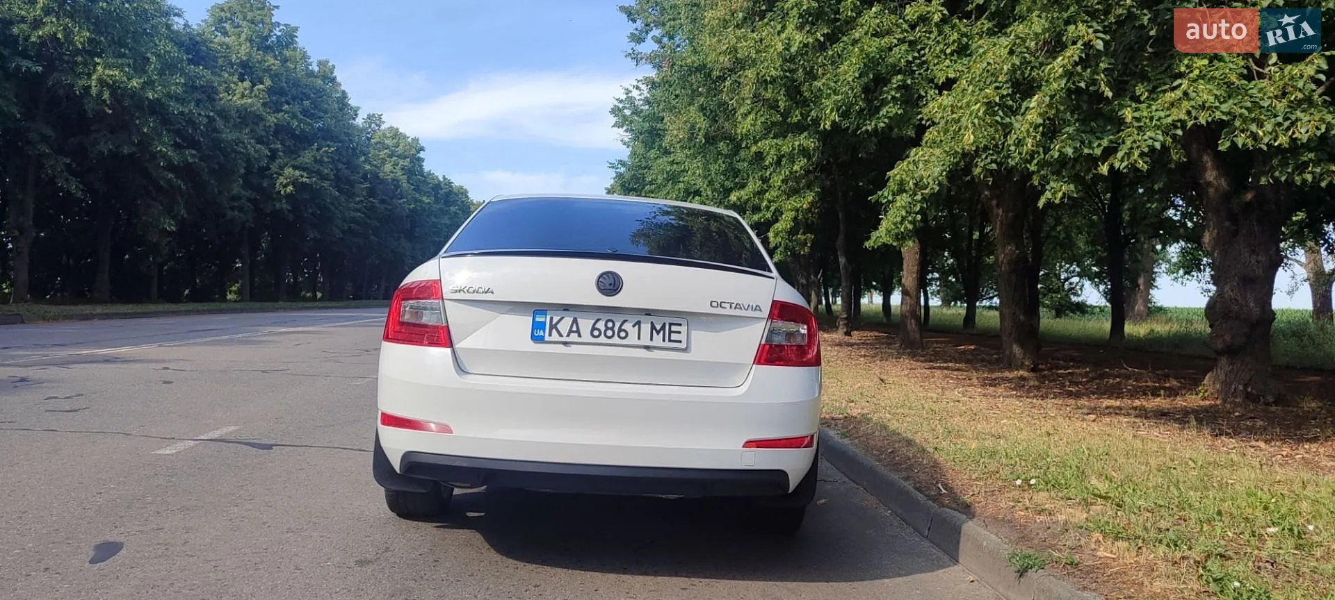 2013 Skoda Octavia - мініатюра 3