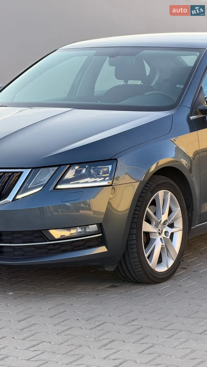 2017 Skoda Octavia - мініатюра 13