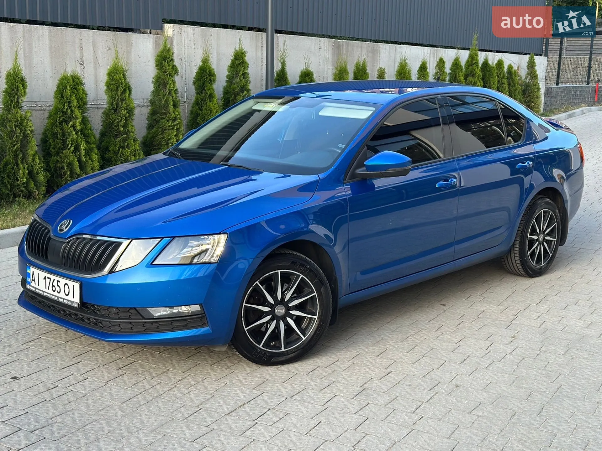 2019 Skoda Octavia - мініатюра 14