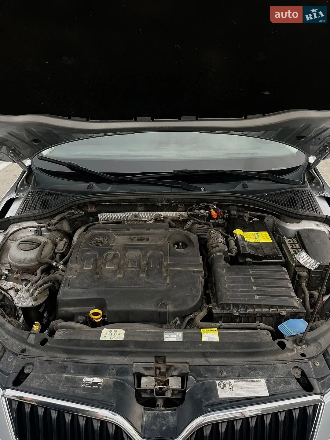 2014 Skoda Octavia - мініатюра 11