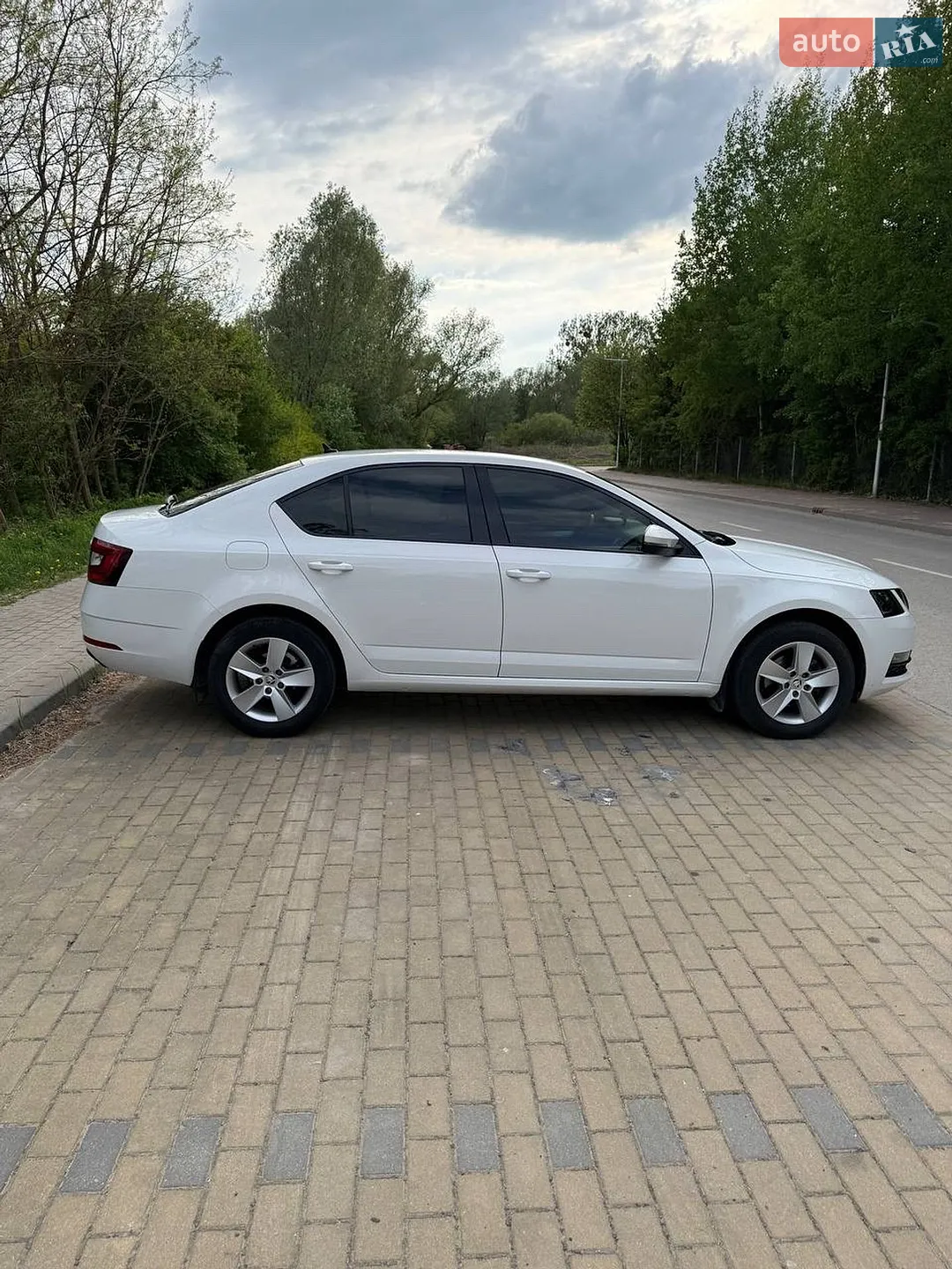 2018 Skoda Octavia - мініатюра 17