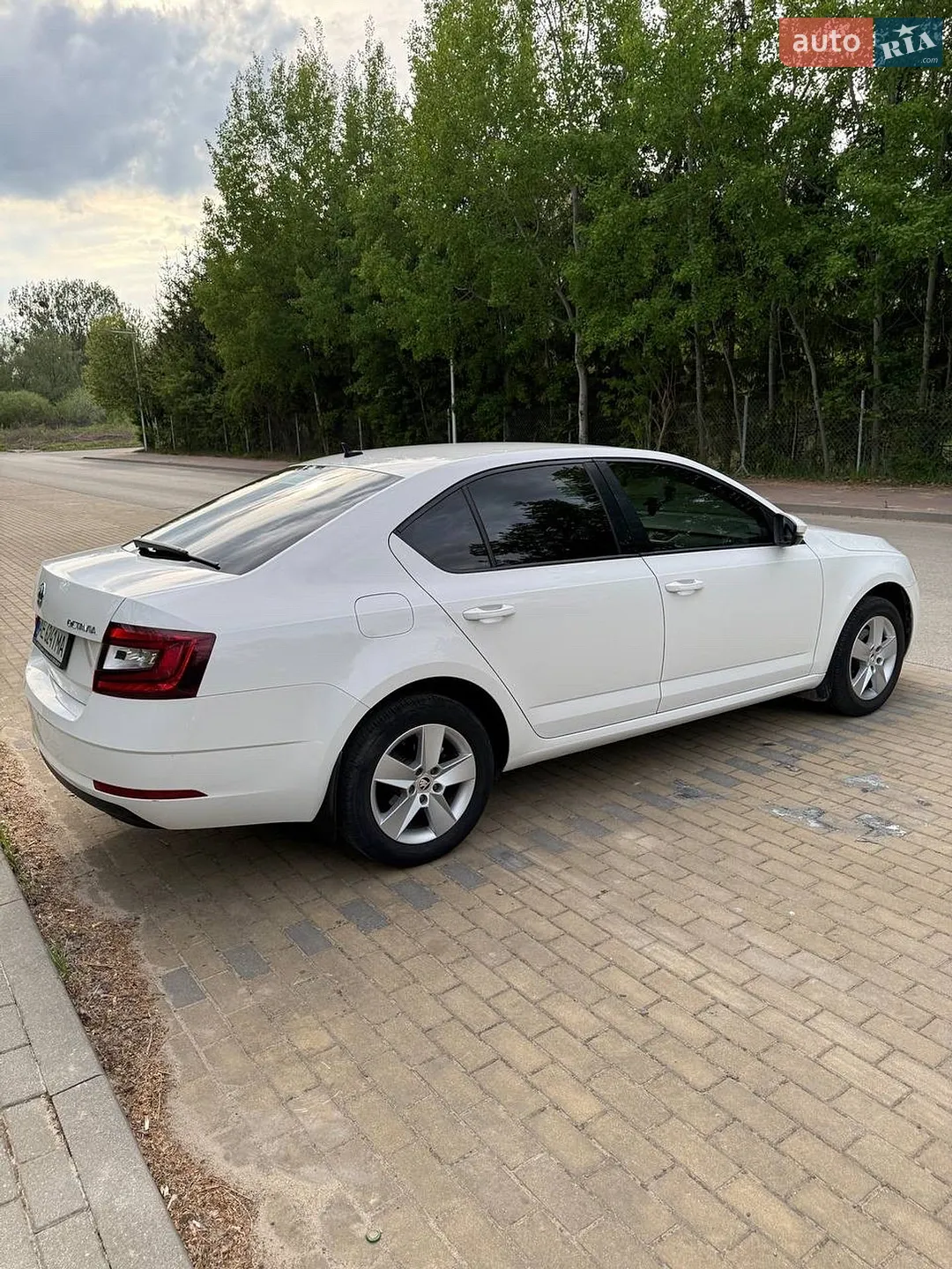 2018 Skoda Octavia - мініатюра 18