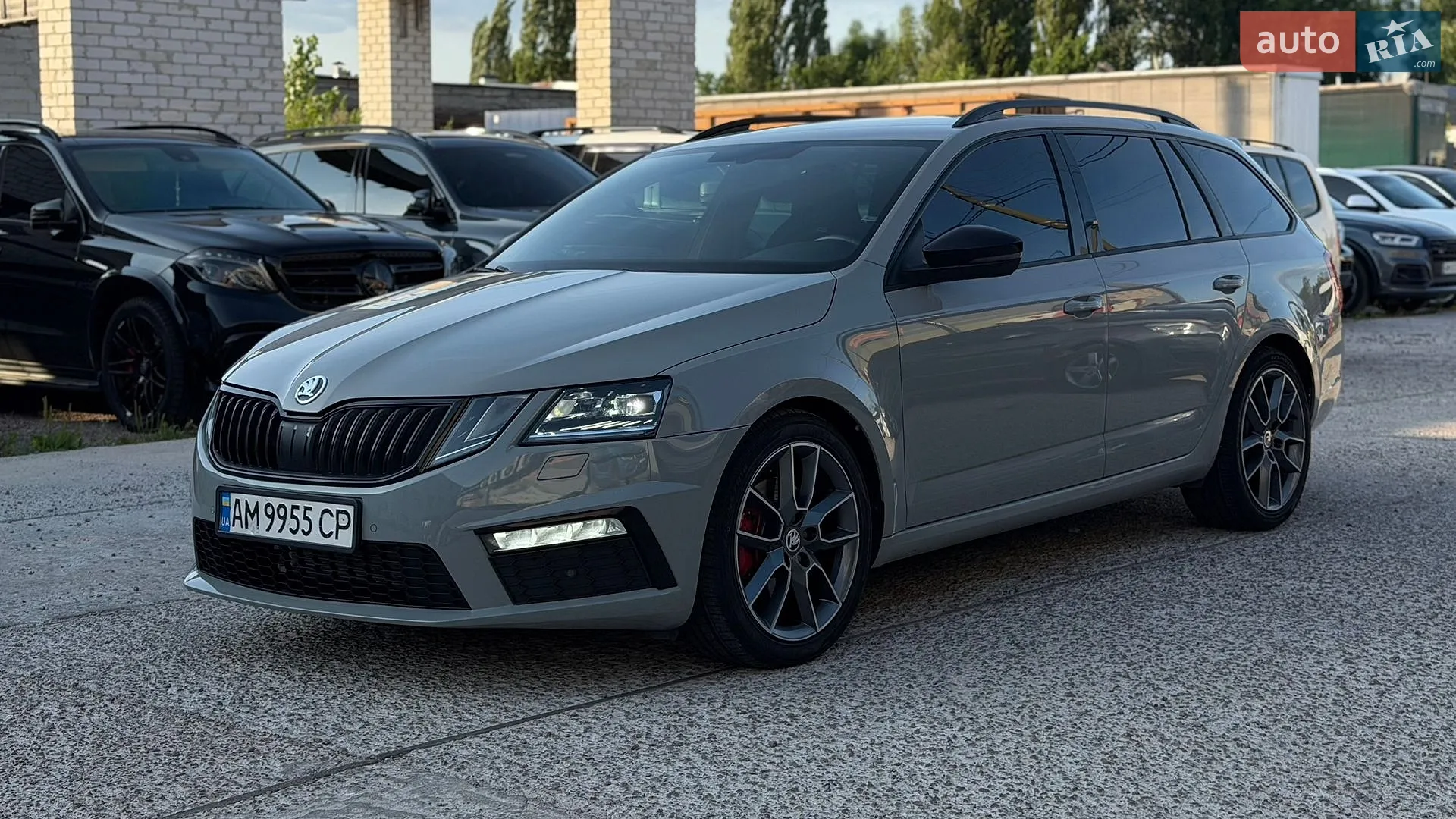 2019 Skoda Octavia - мініатюра 3