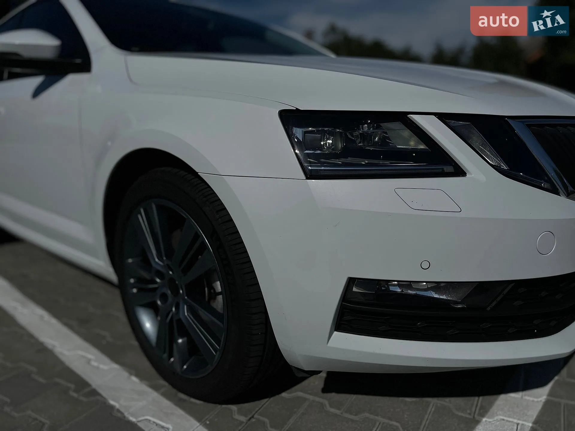 2019 Skoda Octavia - мініатюра 9