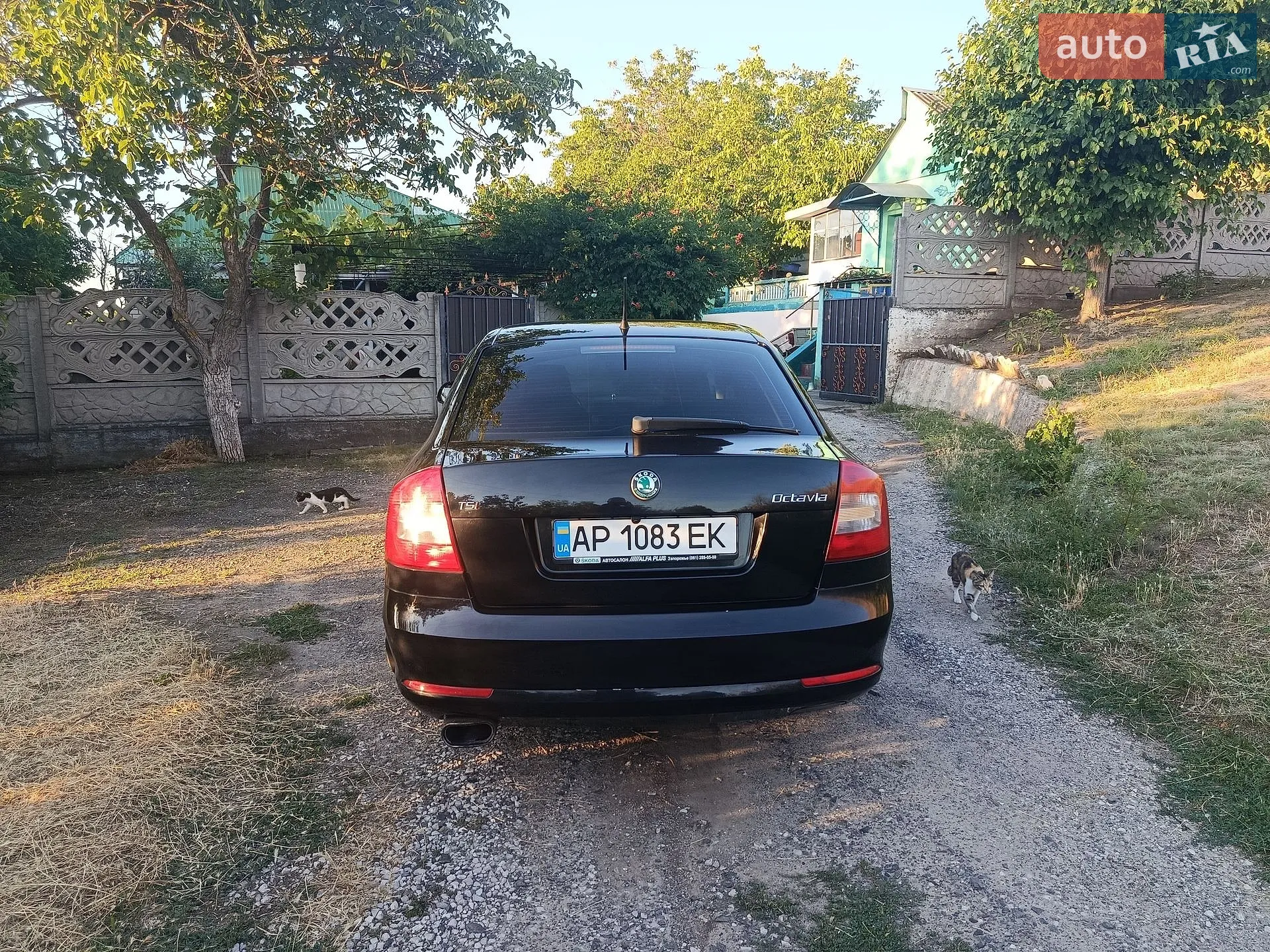 2011 Skoda Octavia - мініатюра 8