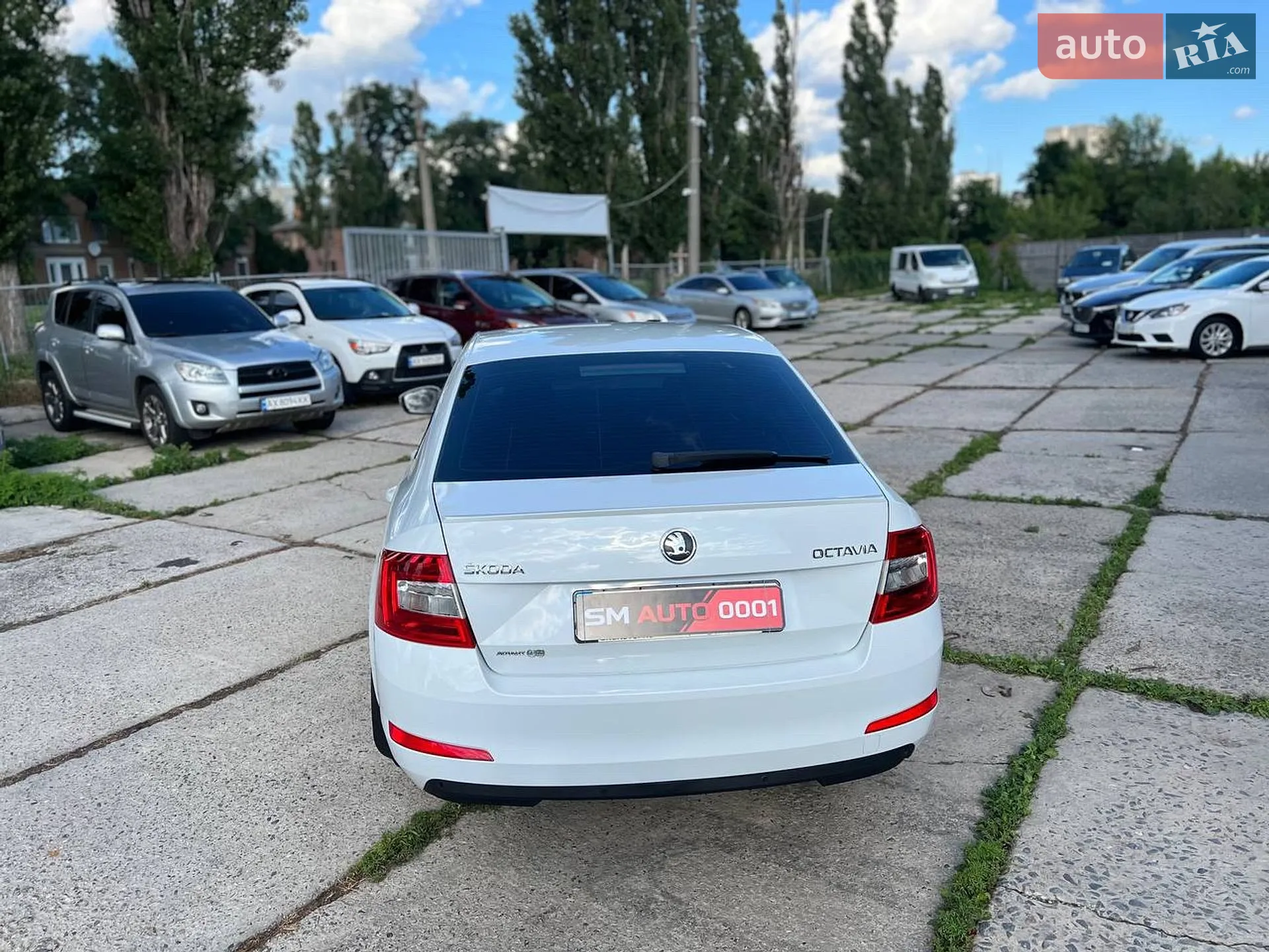 2014 Skoda Octavia - мініатюра 7