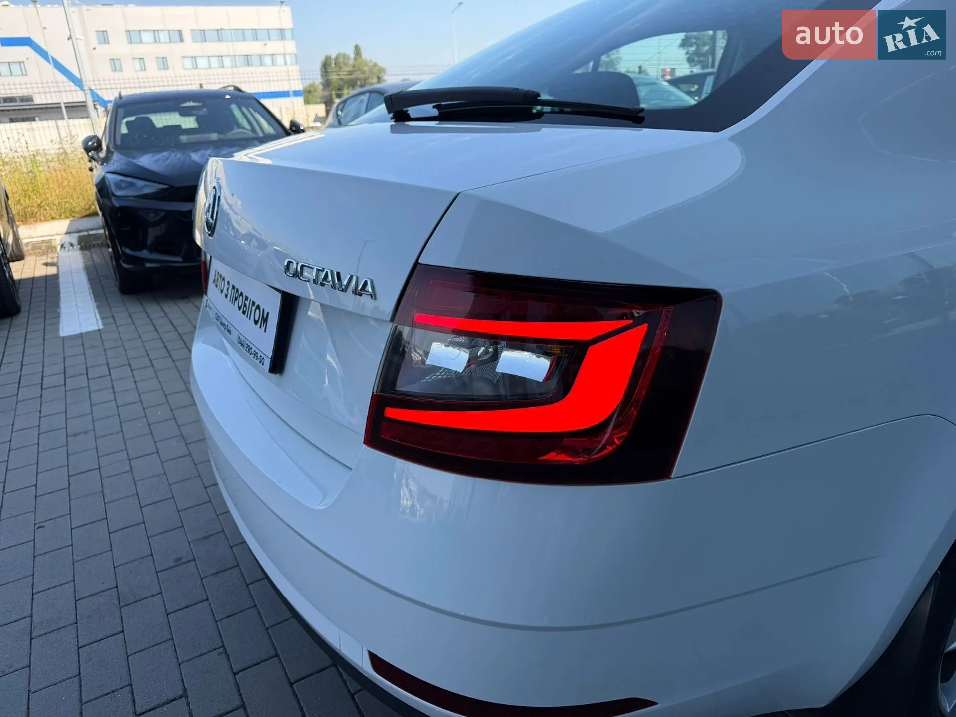 2019 Skoda Octavia - мініатюра 12