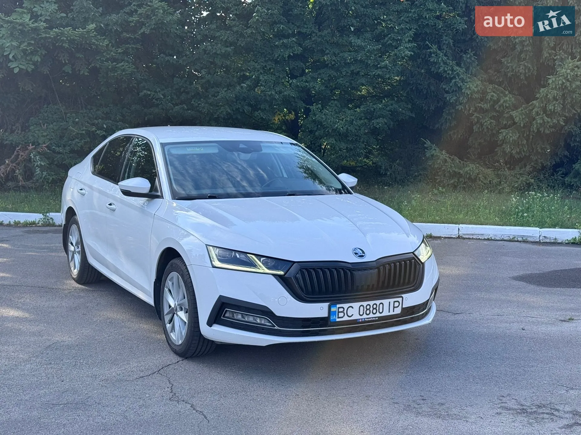2021 Skoda Octavia - мініатюра 2