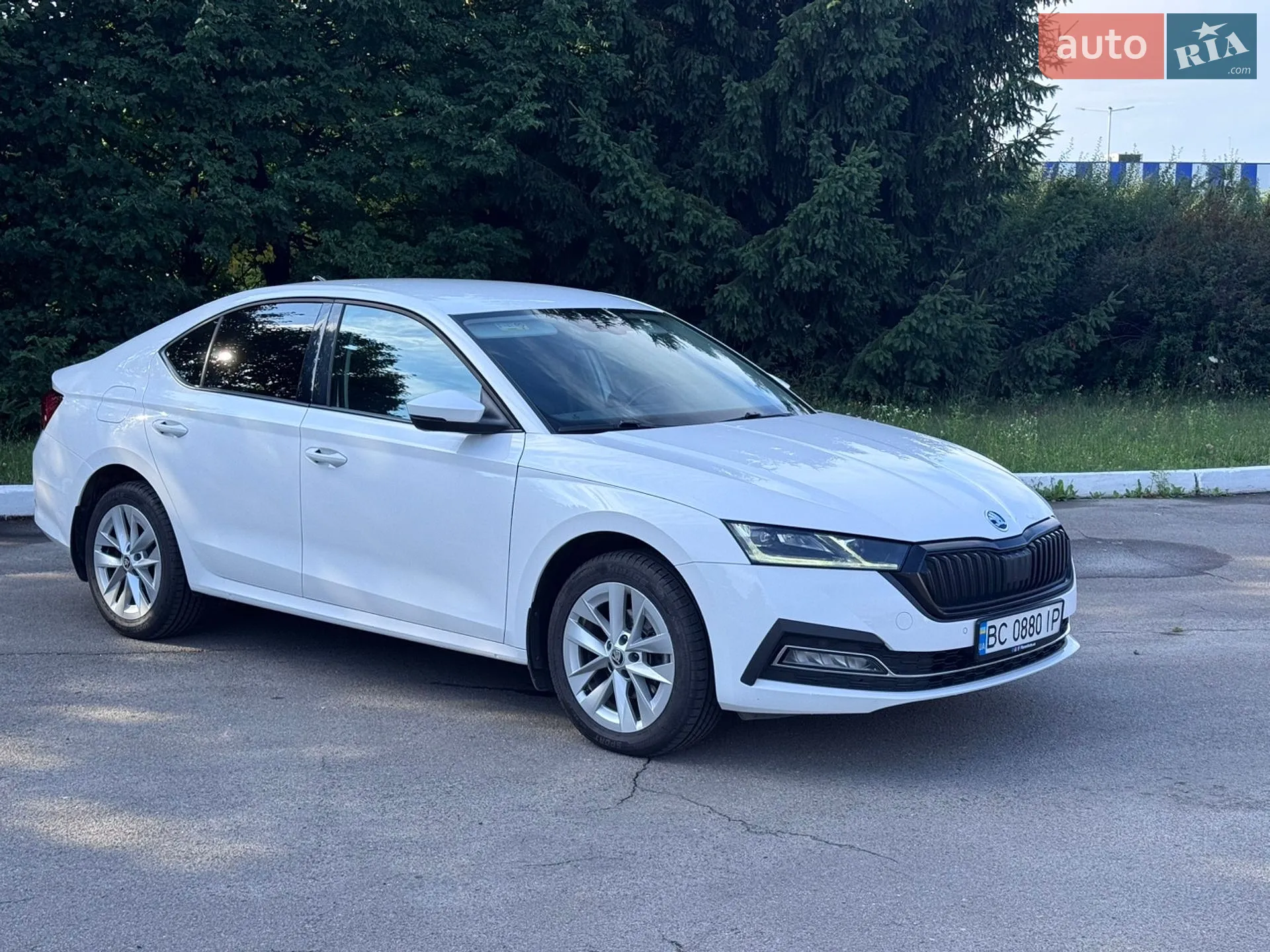 2021 Skoda Octavia - мініатюра 12