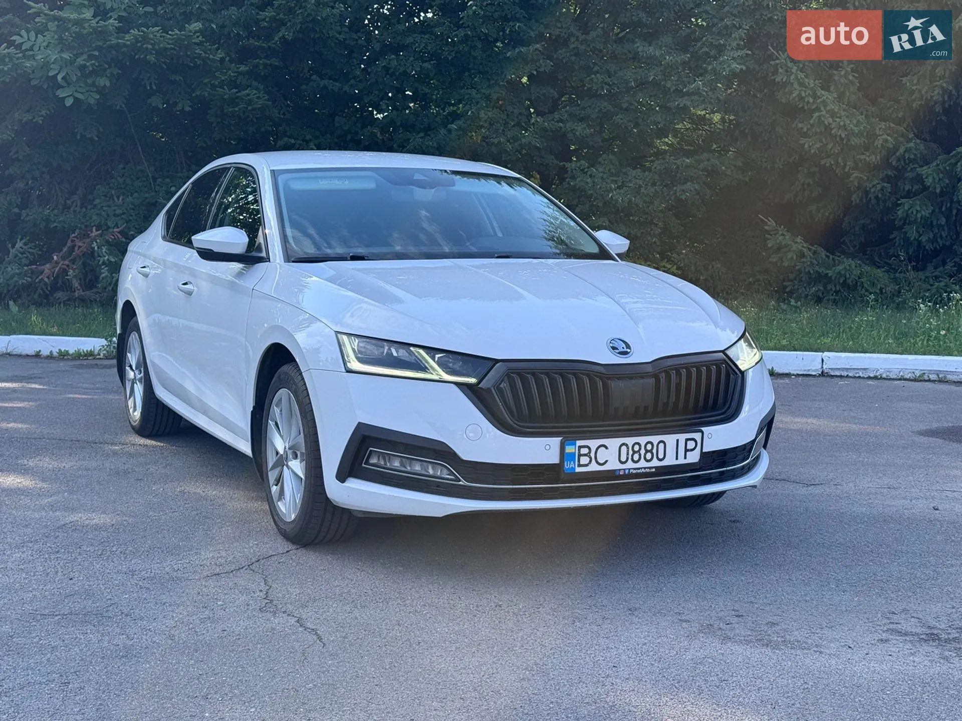 2021 Skoda Octavia - мініатюра 13