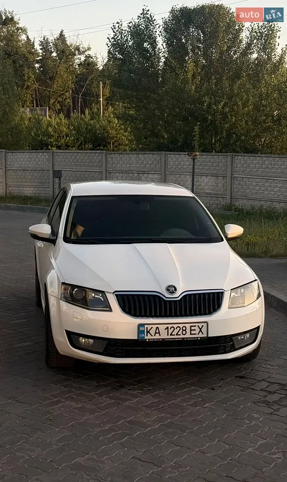 2016 Skoda Octavia - мініатюра 17