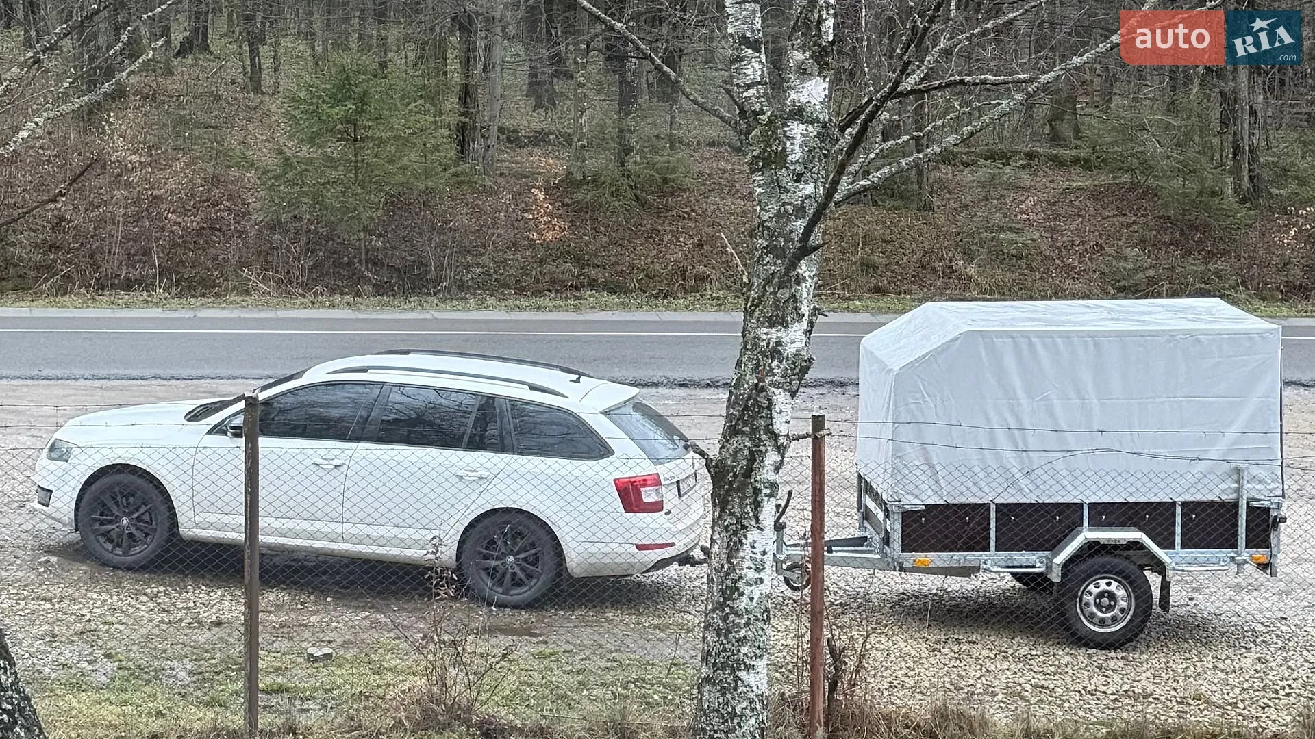 2016 Skoda Octavia - мініатюра 8