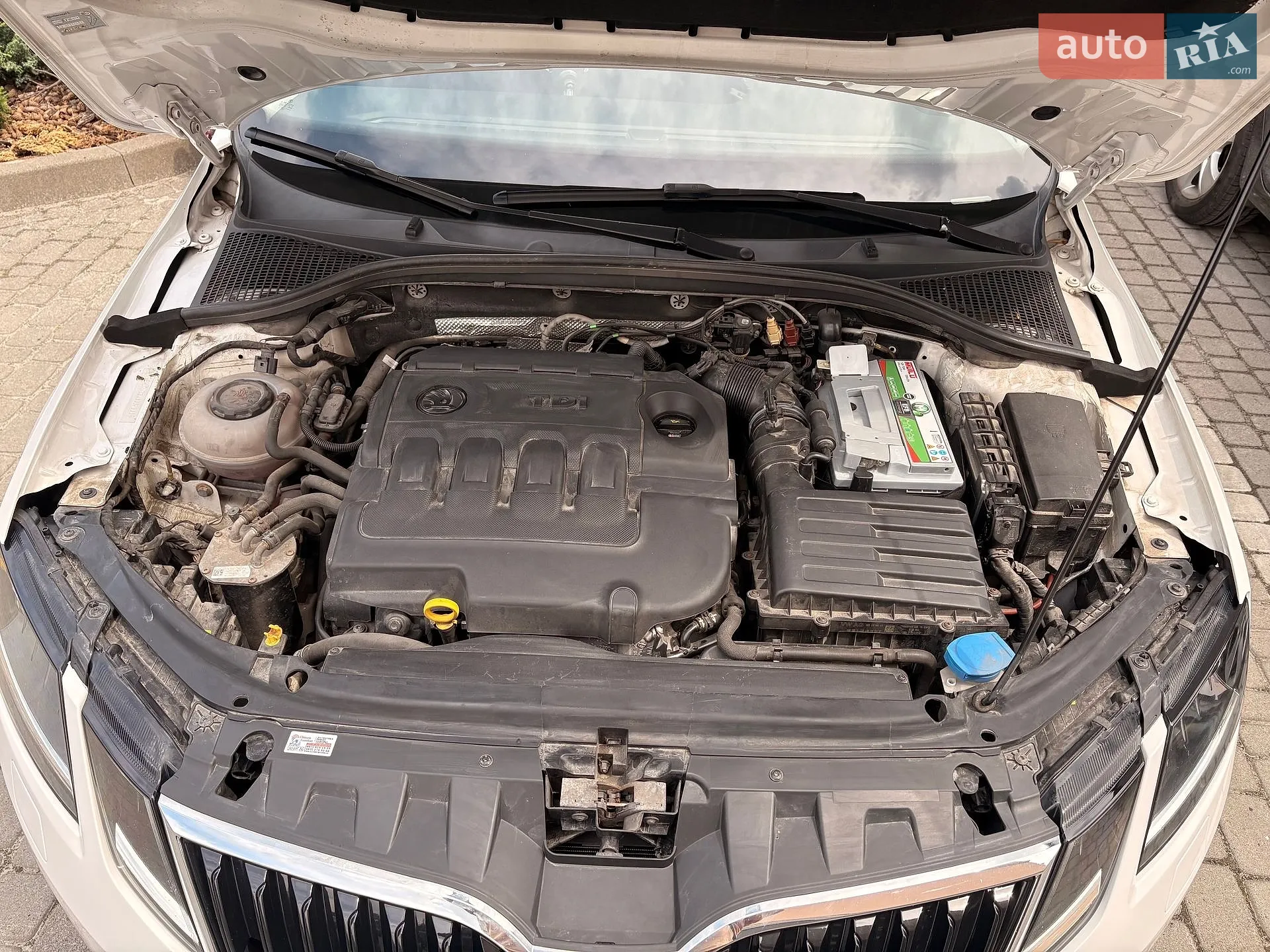 2018 Skoda Octavia - мініатюра 11