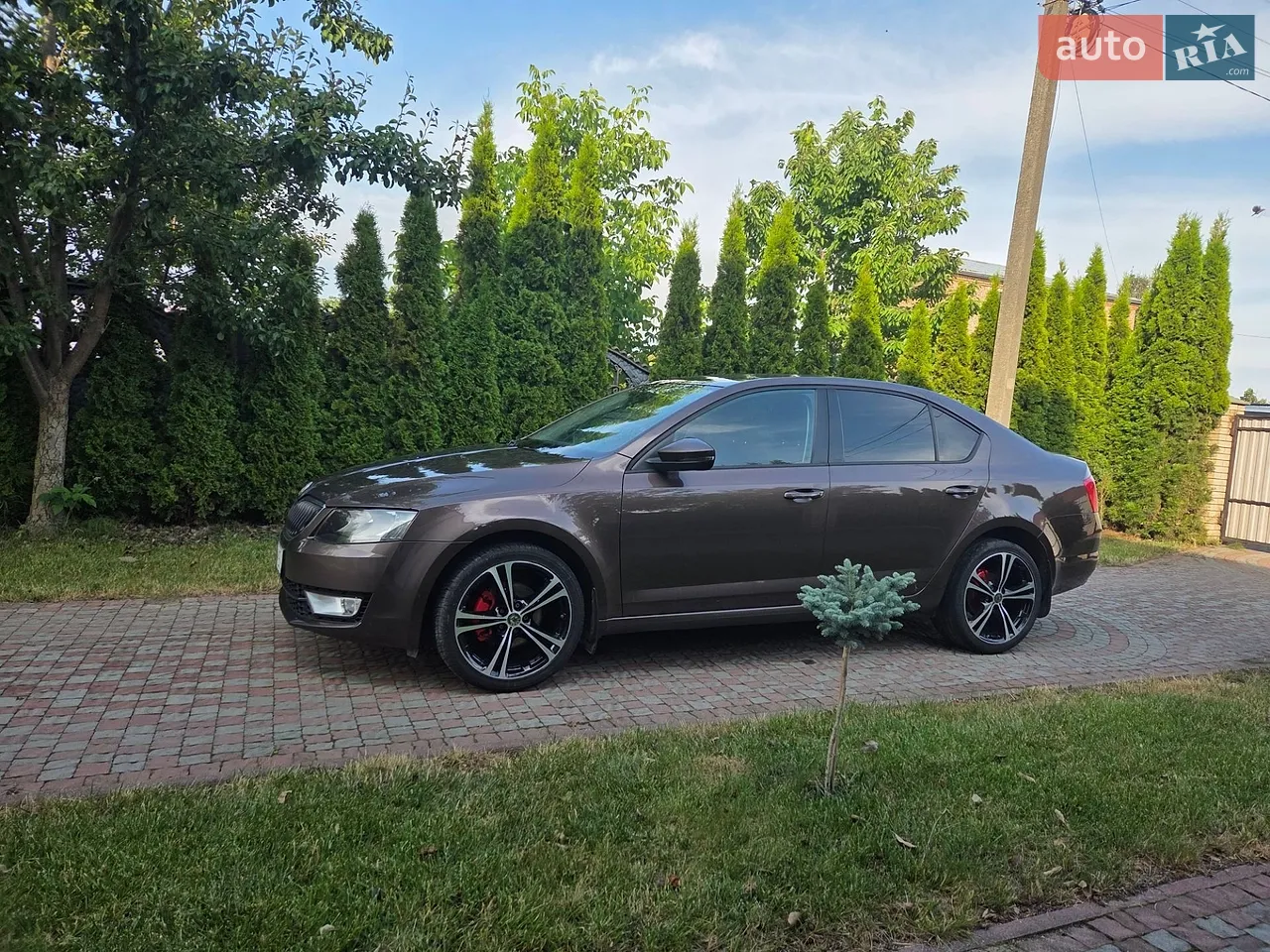2015 Skoda Octavia - мініатюра 25