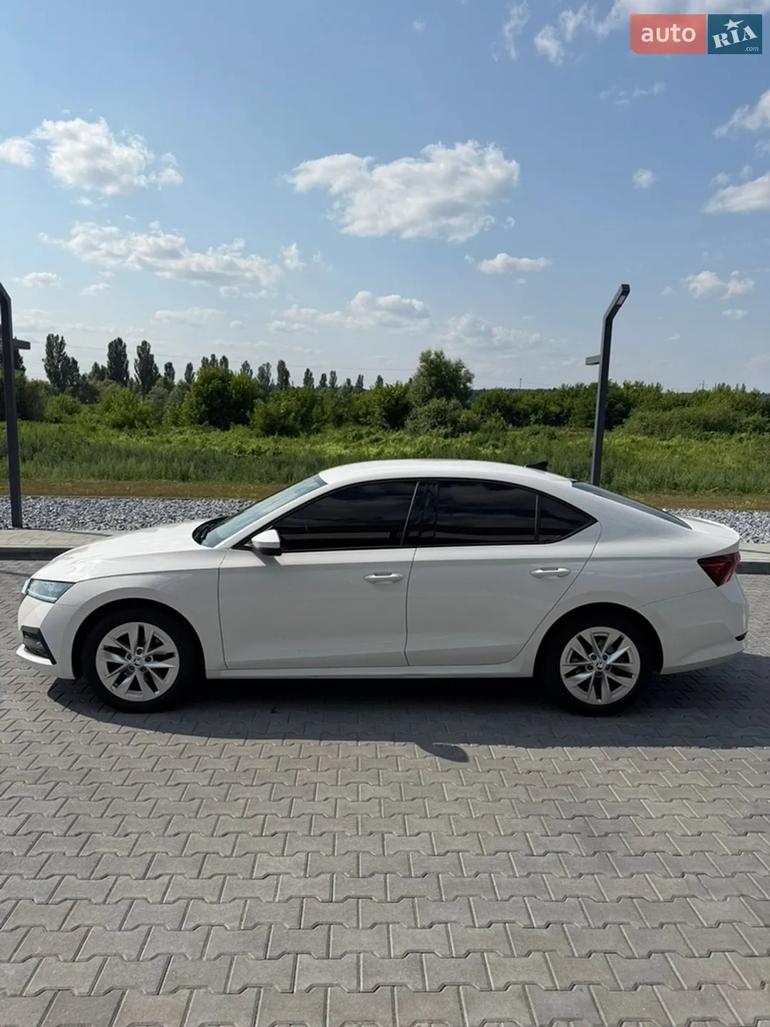 2020 Skoda Octavia - мініатюра 8