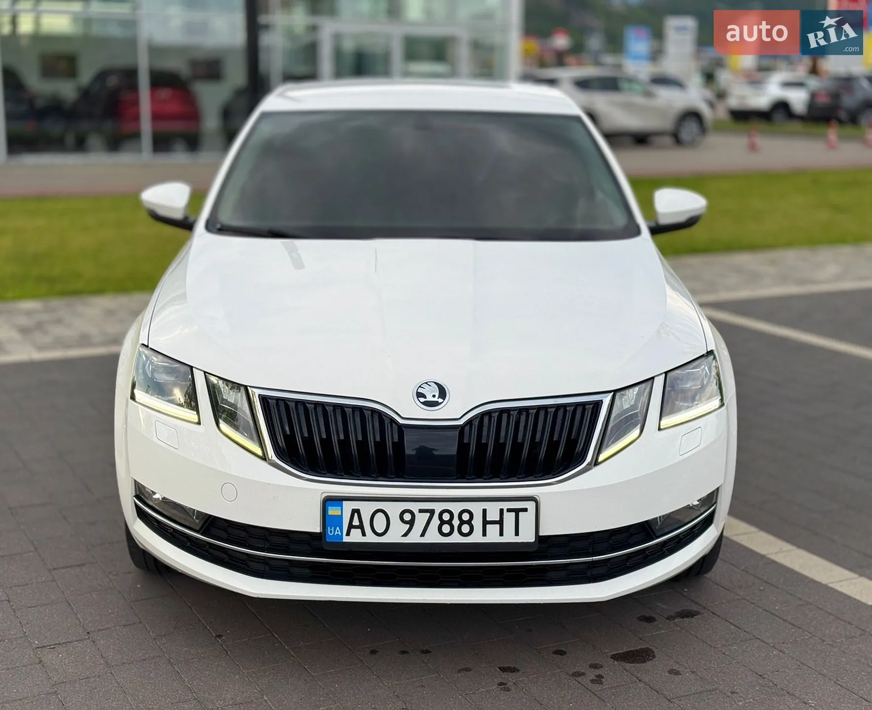 2017 Skoda Octavia - мініатюра 4