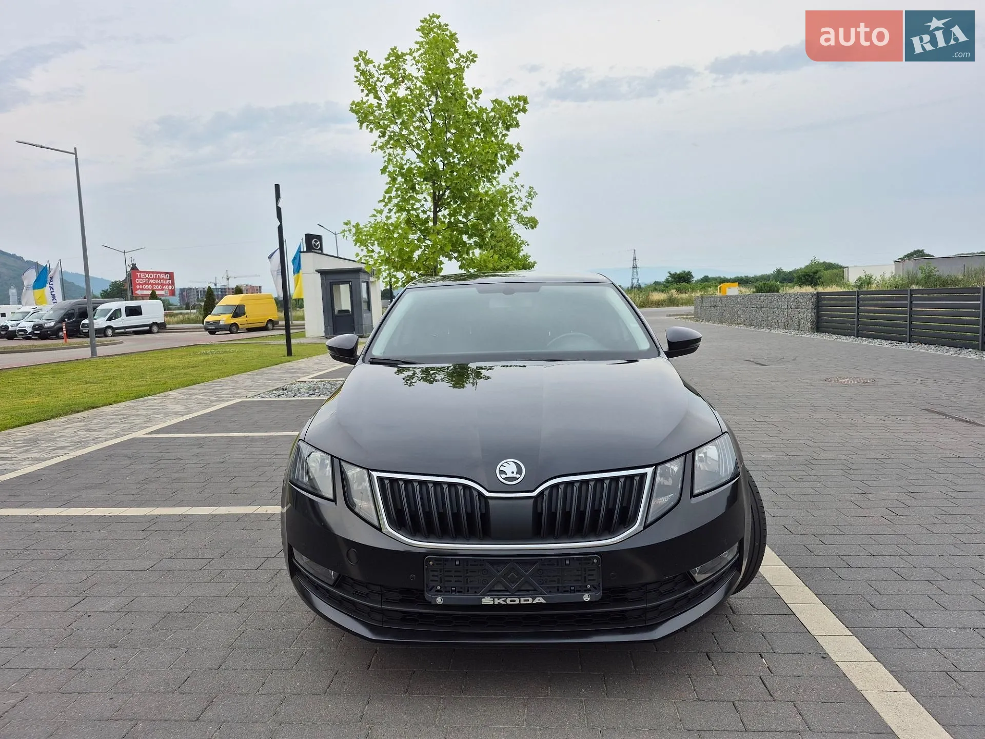 2017 Skoda Octavia - мініатюра 10
