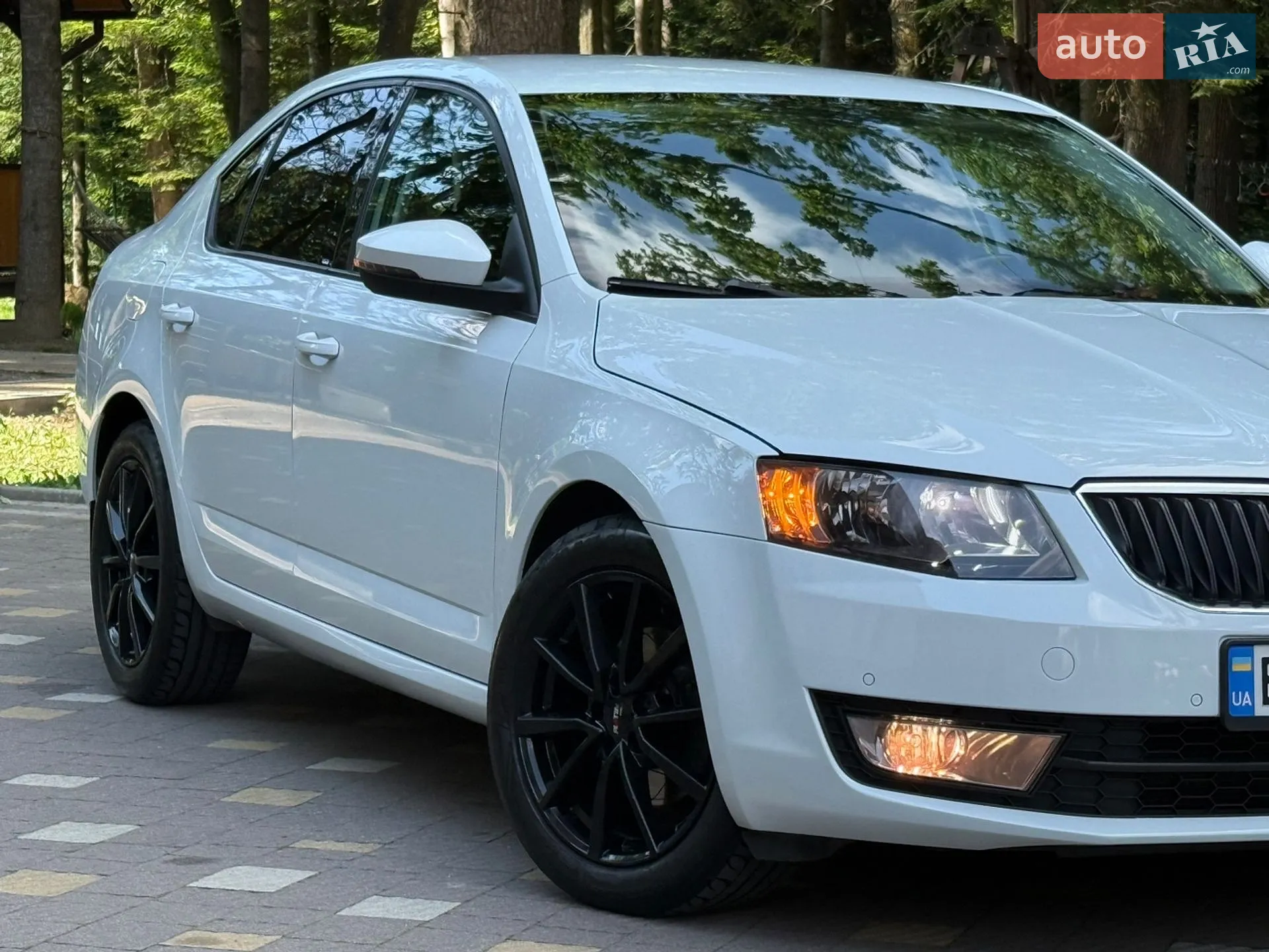 2016 Skoda Octavia - мініатюра 49