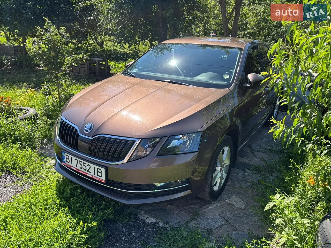 2019 Skoda Octavia - мініатюра 17