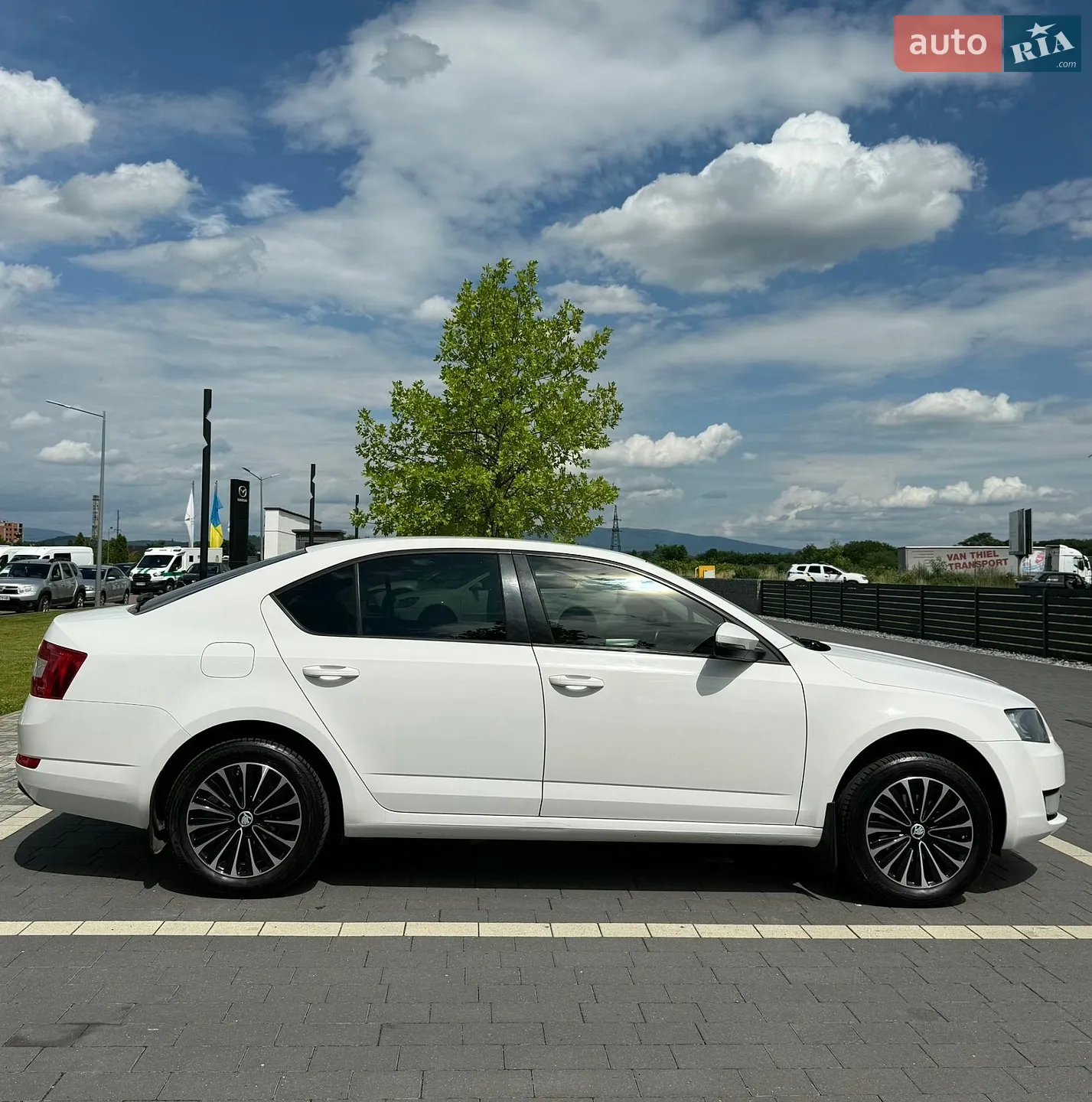 2015 Skoda Octavia - мініатюра 2