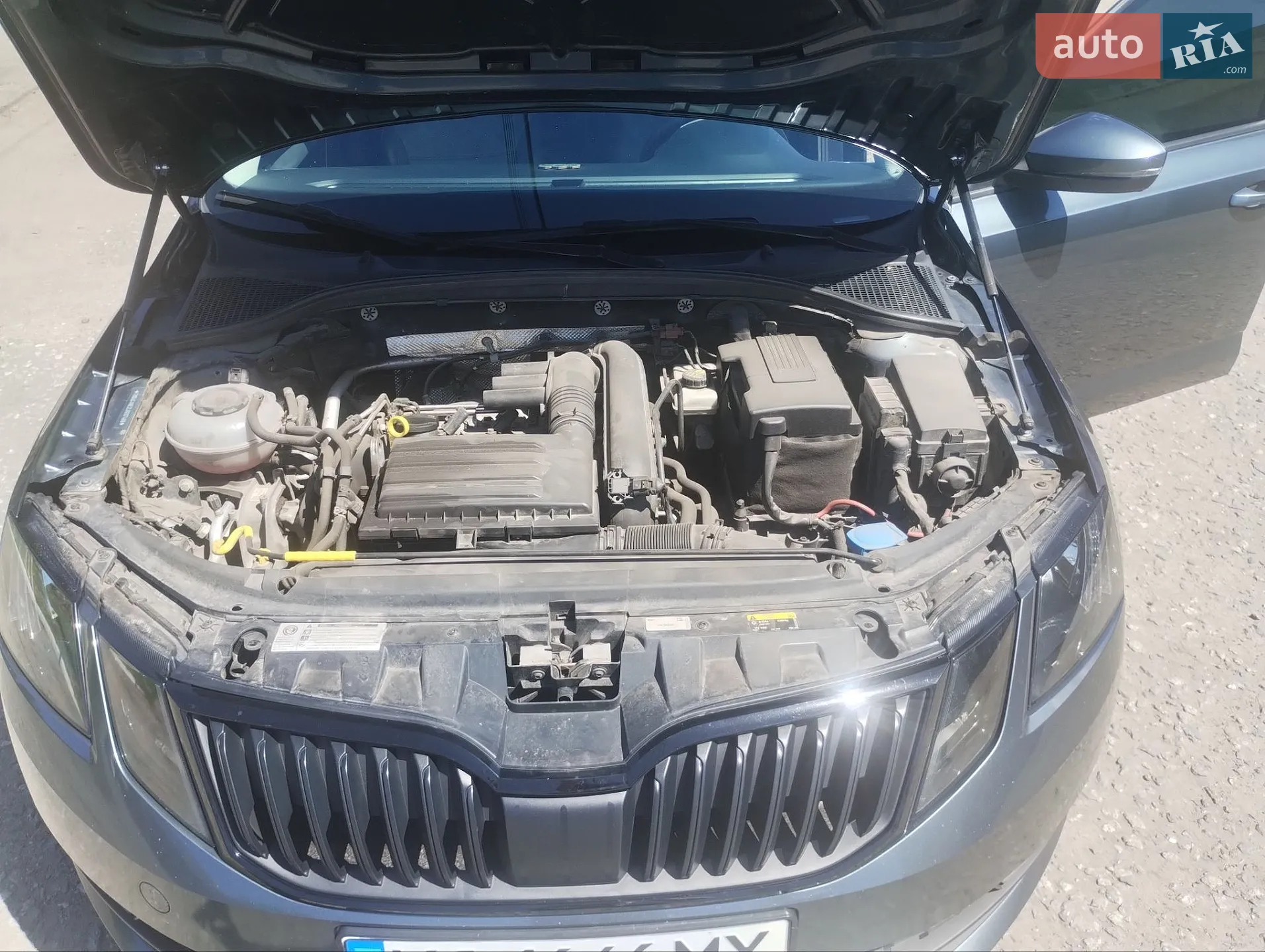 2019 Skoda Octavia - мініатюра 18