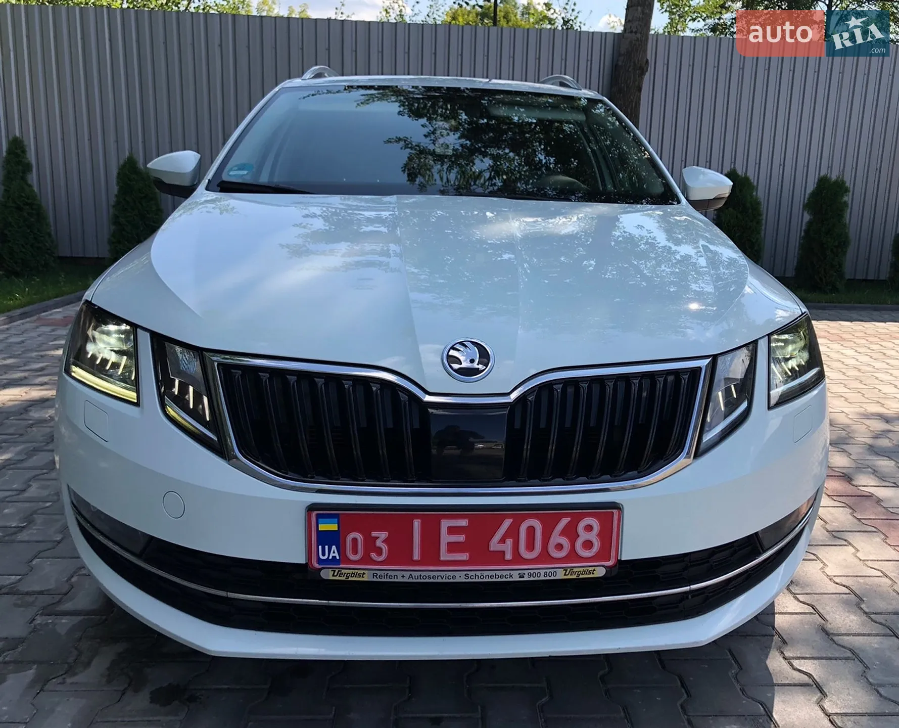 2019 Skoda Octavia - фото 1