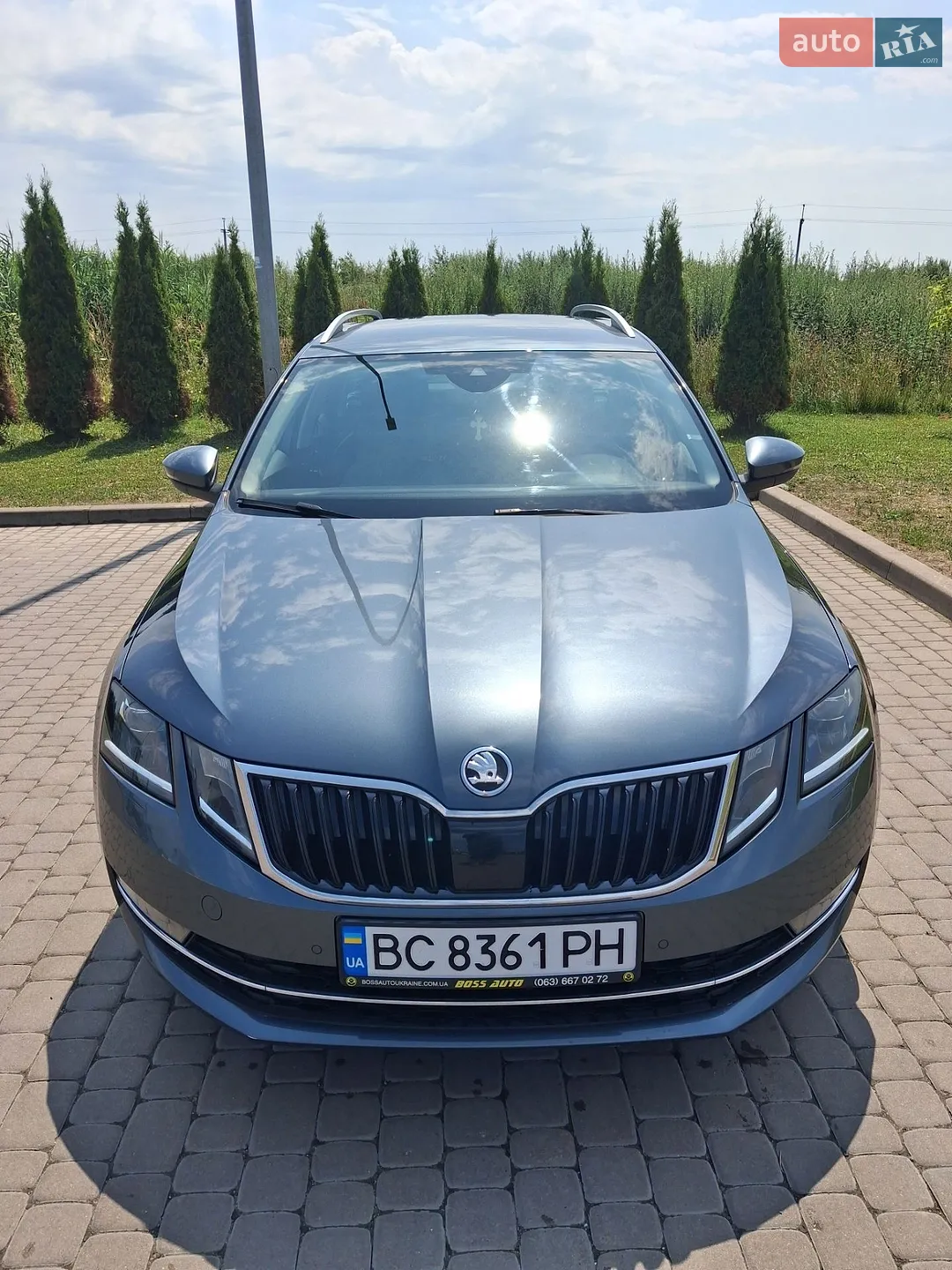 2019 Skoda Octavia - фото 1