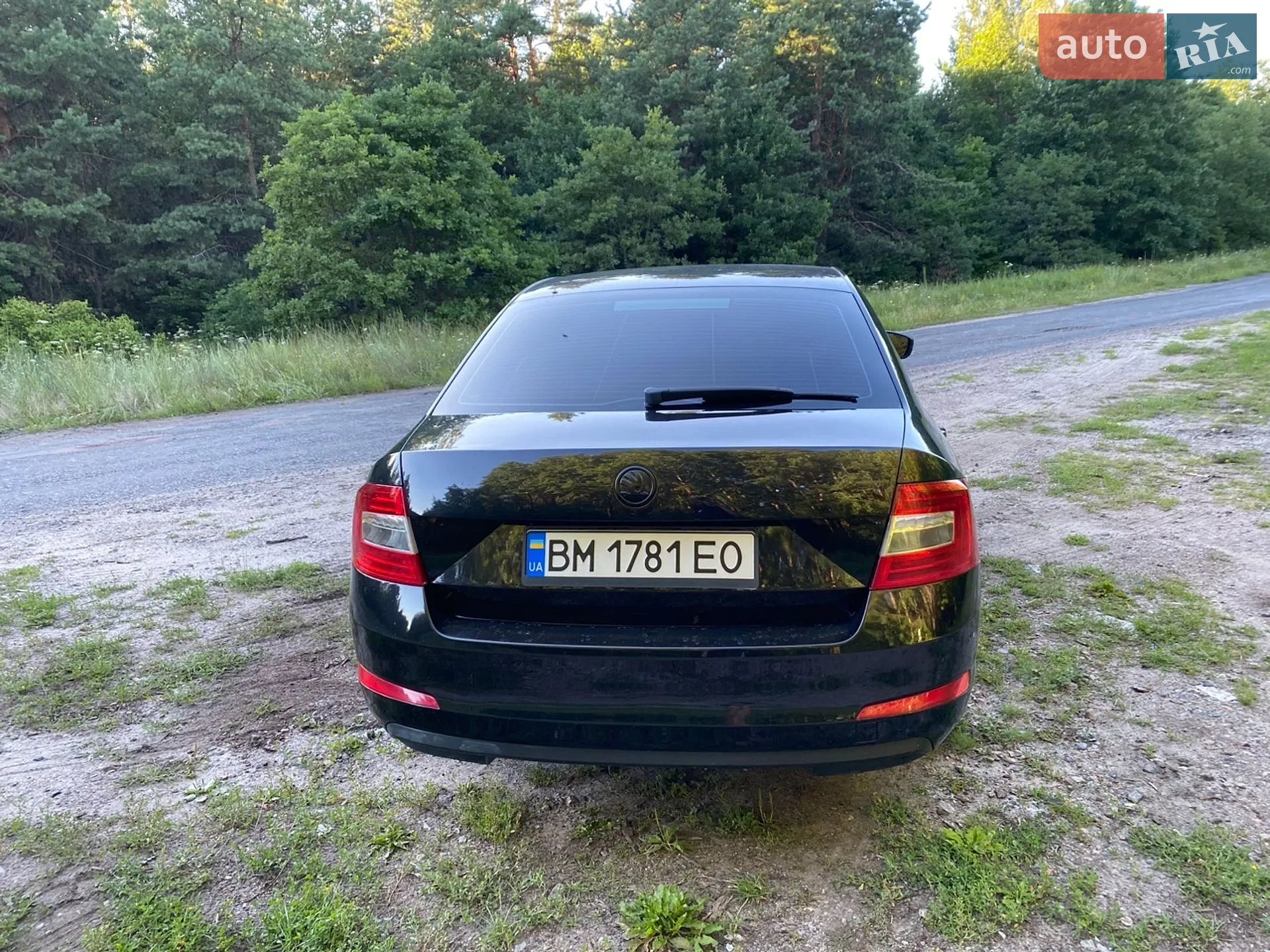 2015 Skoda Octavia - мініатюра 4
