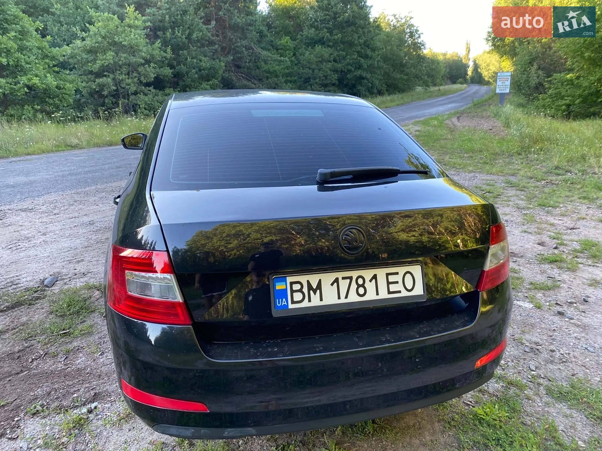 2015 Skoda Octavia - мініатюра 5