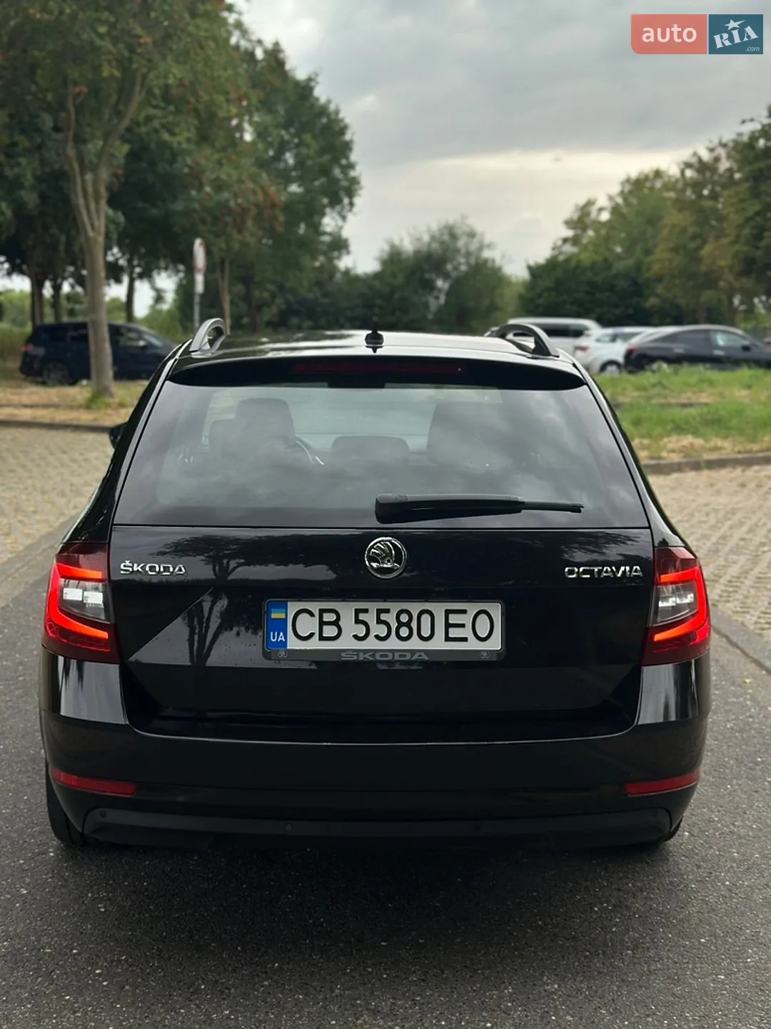 2019 Skoda Octavia - мініатюра 4