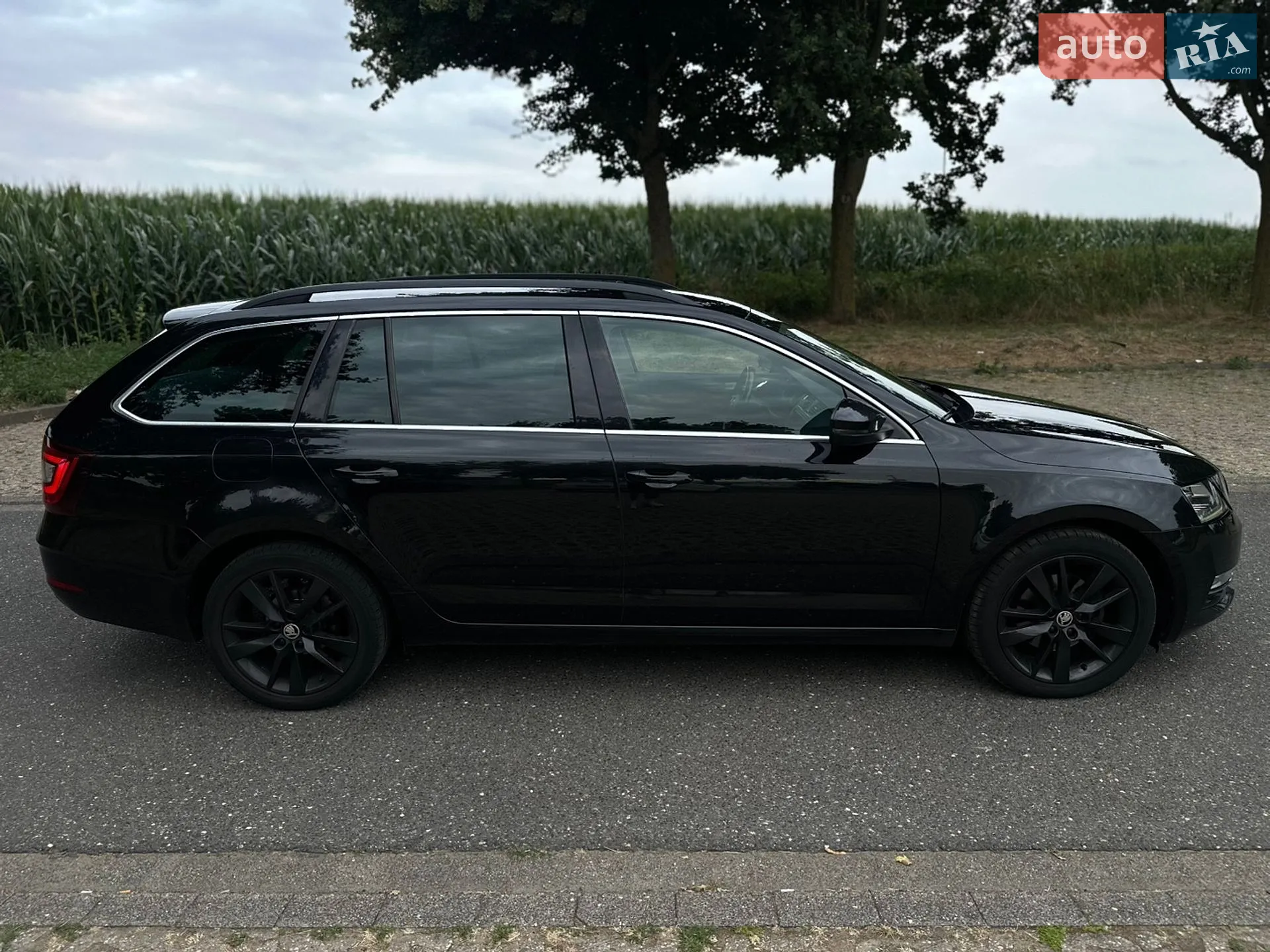 2019 Skoda Octavia - мініатюра 8
