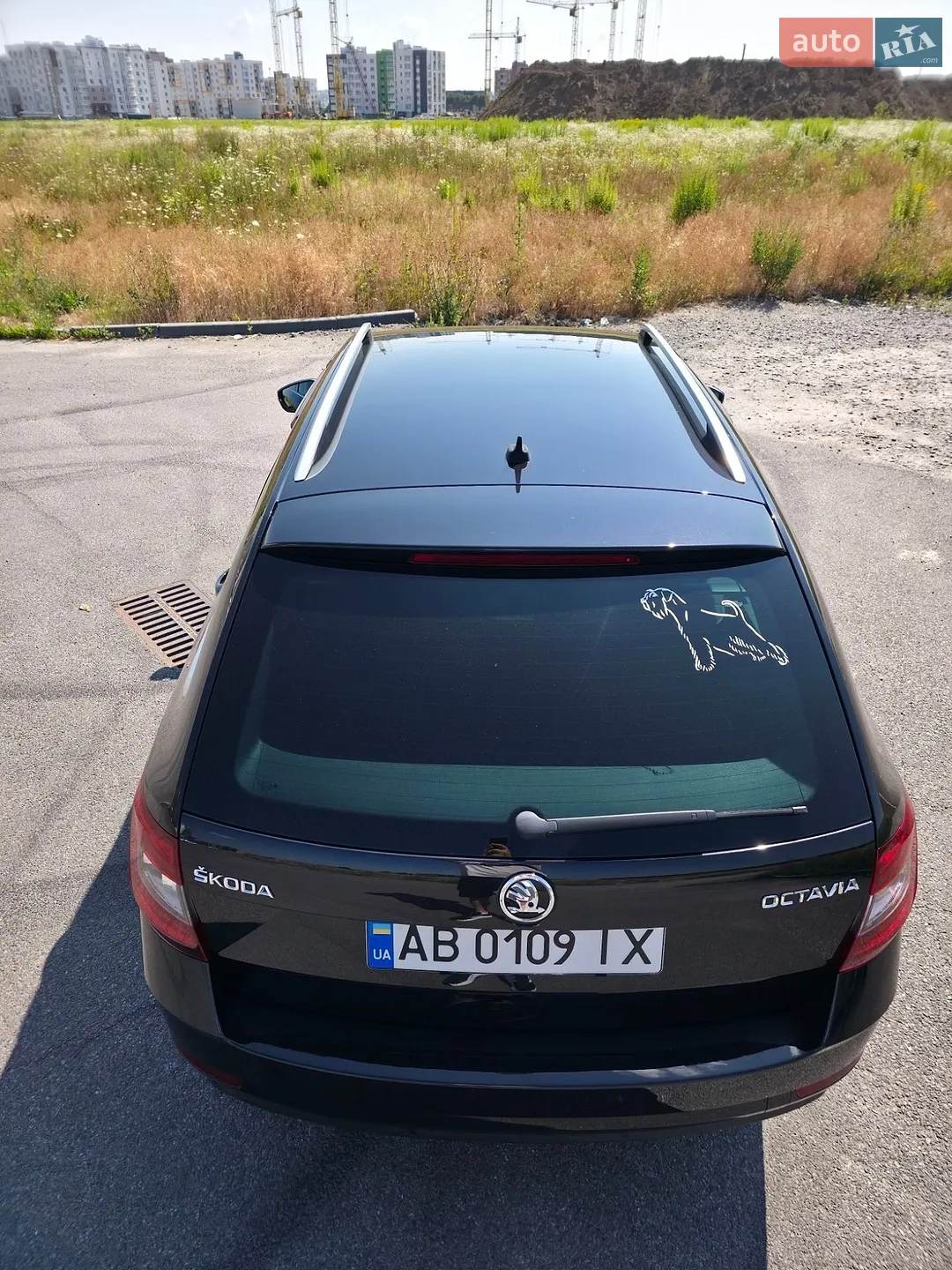 2017 Skoda Octavia - мініатюра 8