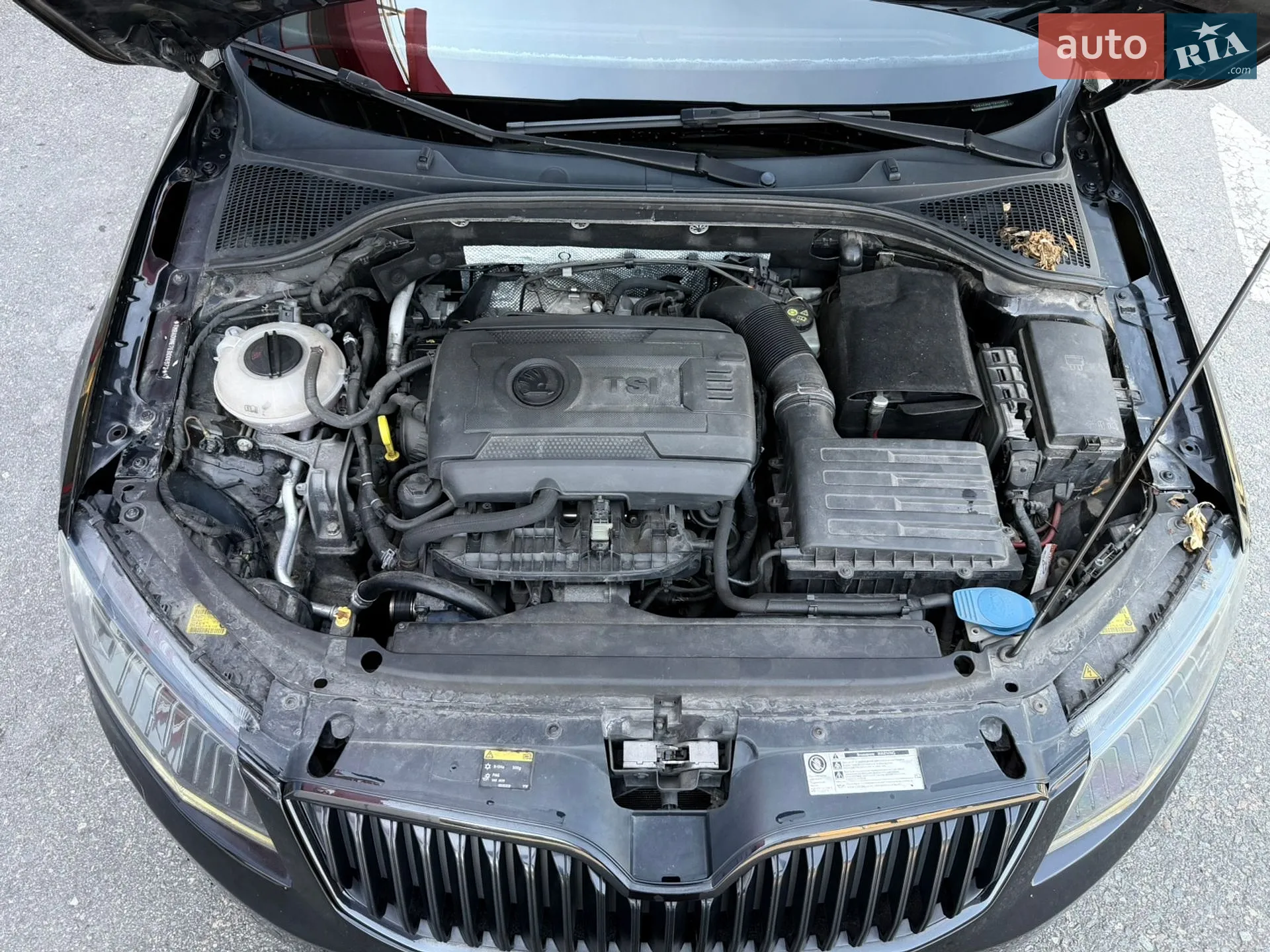 2013 Skoda Octavia - мініатюра 23