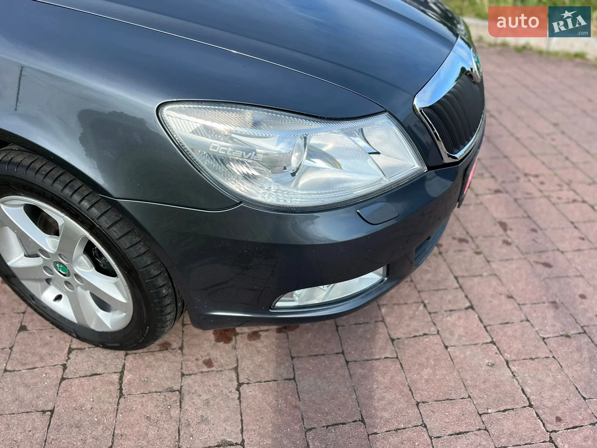 2011 Skoda Octavia - мініатюра 27